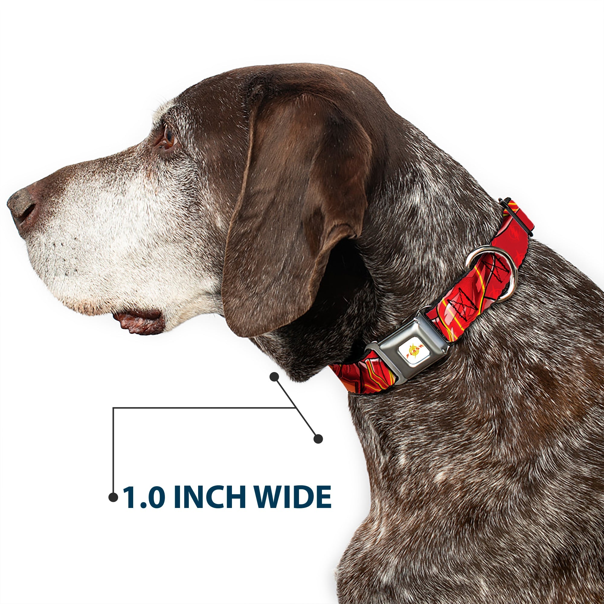 Flash 2023 Title Logo Full Color White/Yellow/Red Seatbelt Buckle Collar - The Flash 2023 2-Poses Close-Up Reds