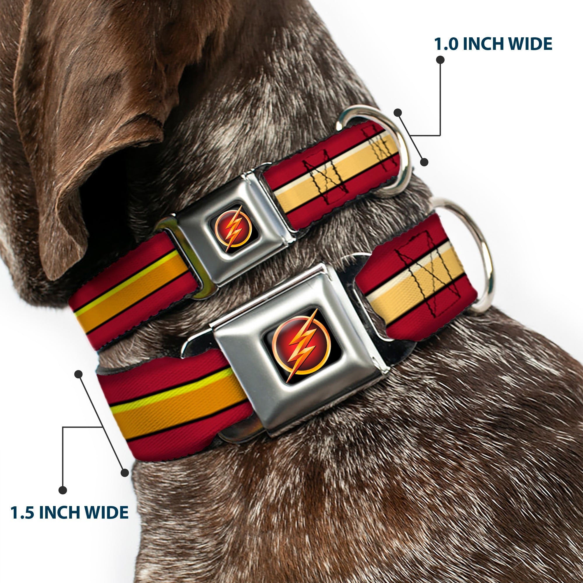 Flash Logo3 Black/Gold/Red Seatbelt Buckle Collar - The Flash Stripe Burgundy/Gold