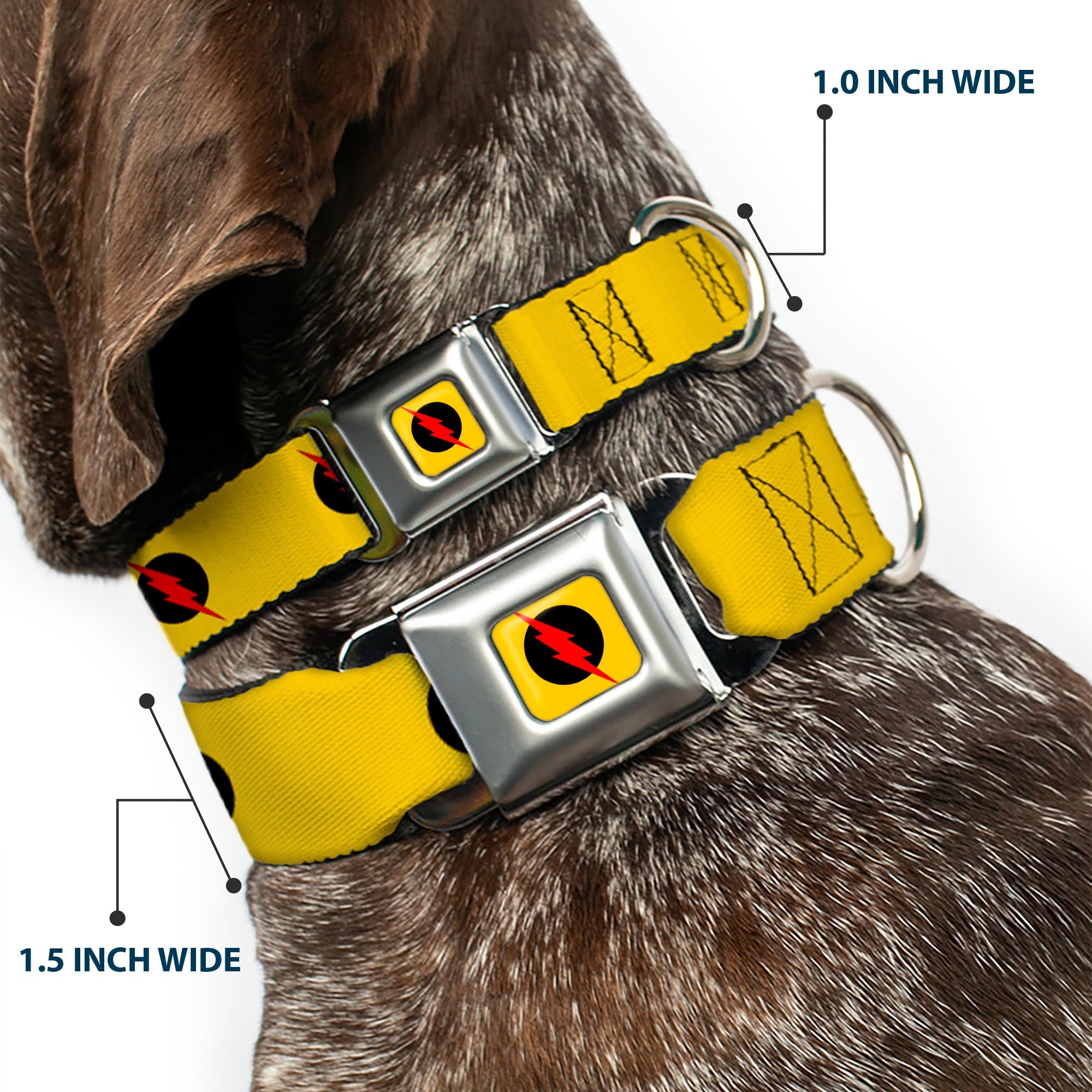 Reverse Flash Logo Full Color Golden Yellow Black Red Seatbelt Buckle Collar - Reverse Flash Logo Golden Yellow/Black/Red