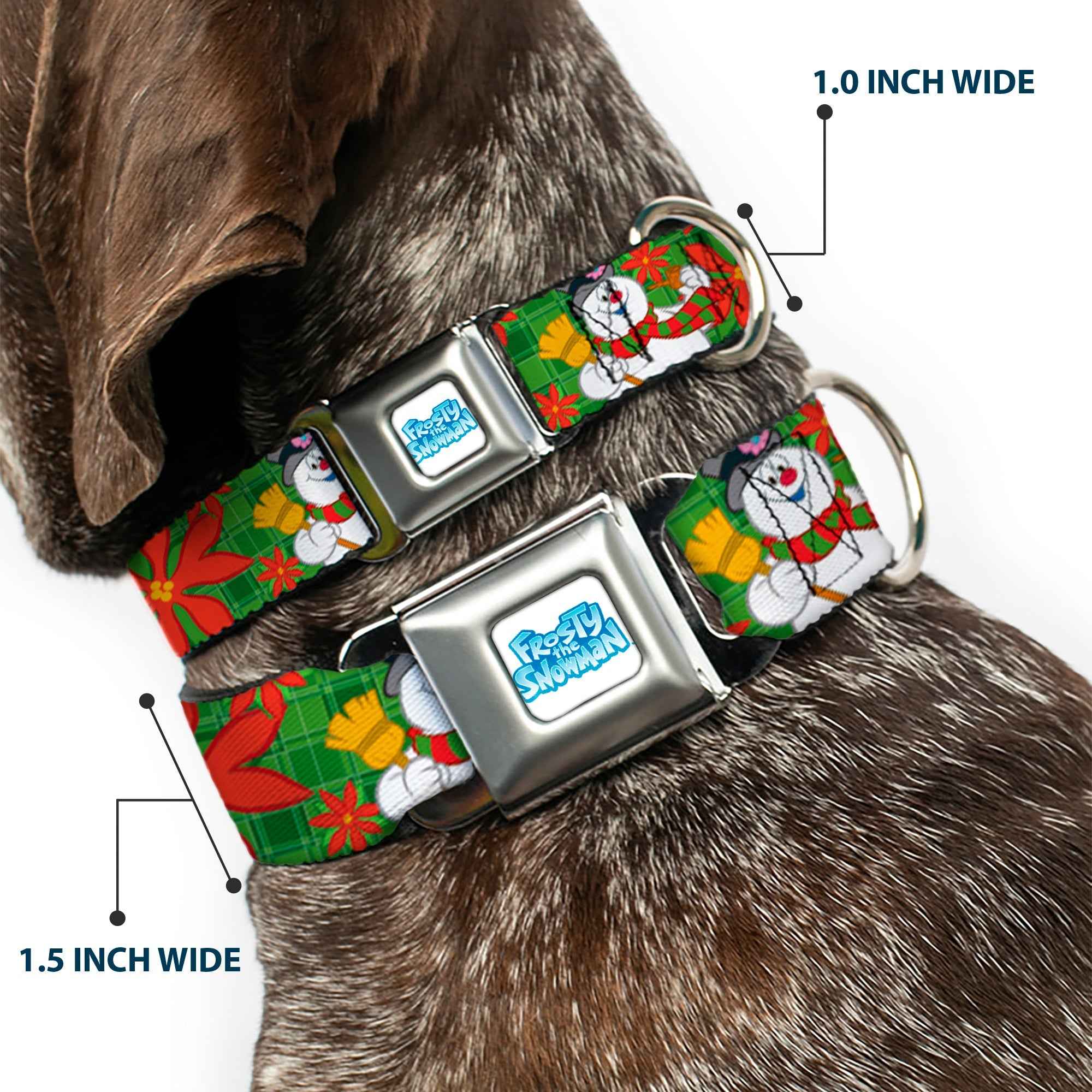 Buckle-Down Frosty The Snowman Logo Full Color White/Blues Seatbelt Buckle Dog Collar - Frosty the Snowman Pose Poinsetta Plaid Collage Greens/Reds