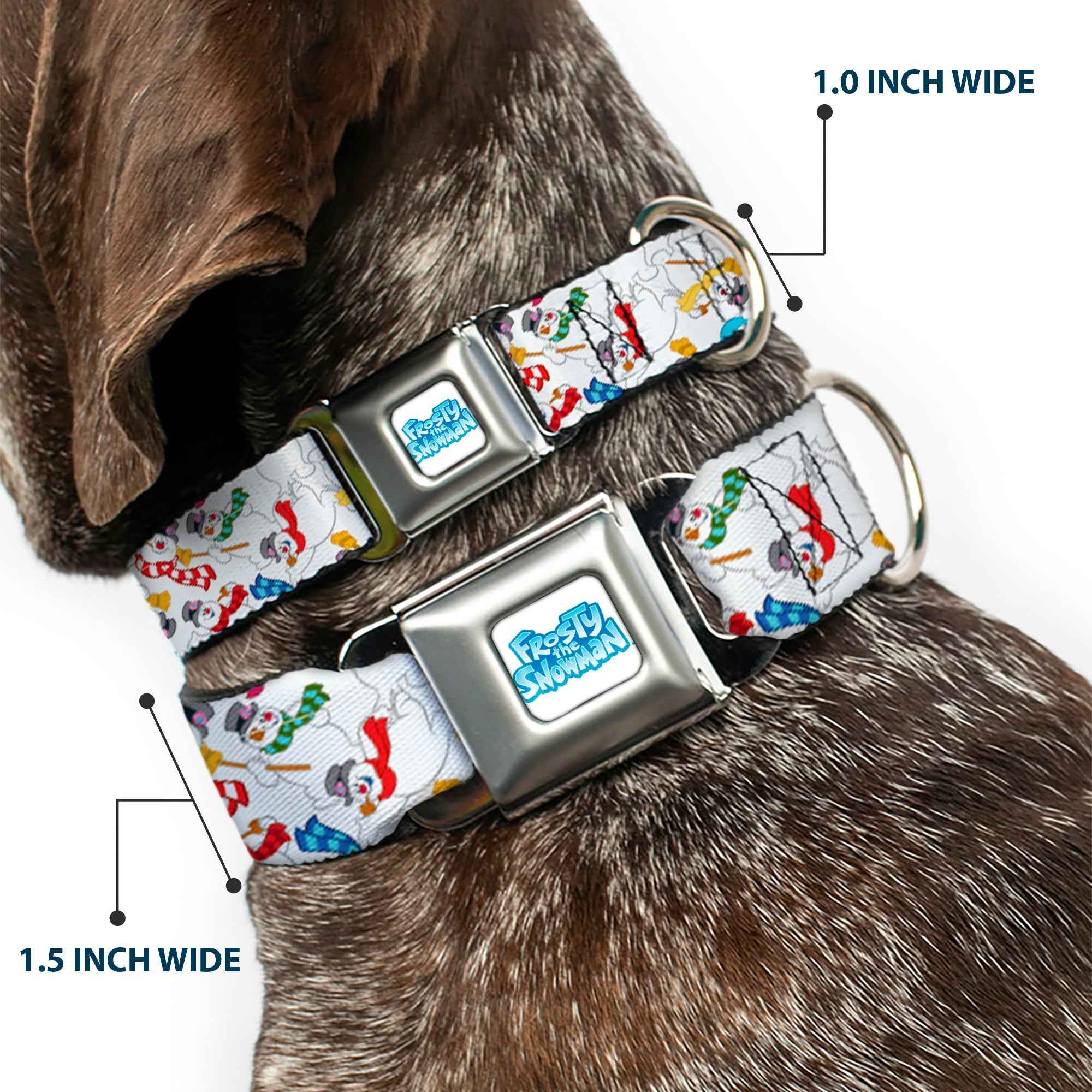 Buckle-Down Frosty The Snowman Logo Full Color White/Blues Seatbelt Buckle Dog Collar - Frosty the Snowman Pose Scattered White