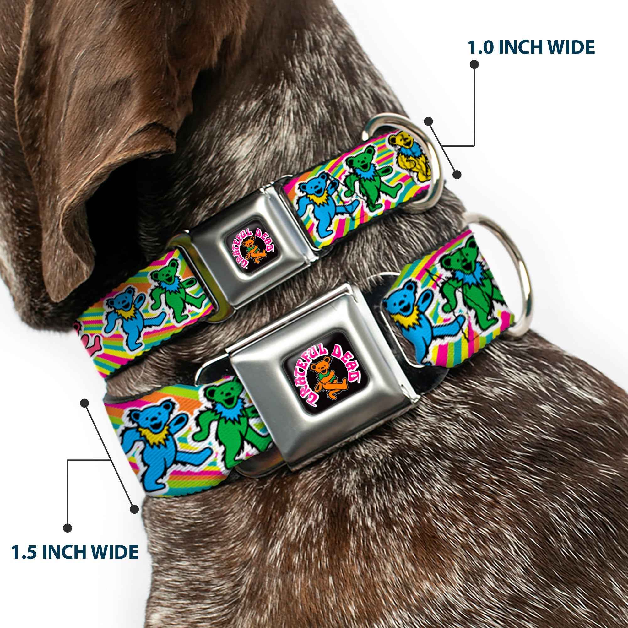 Buckle-Down Grateful Dead Dancing Bear Icon Full Color Black/Orange Seatbelt Buckle Dog Collar - Grateful Dead Dancing Bears Swirl Multicolor