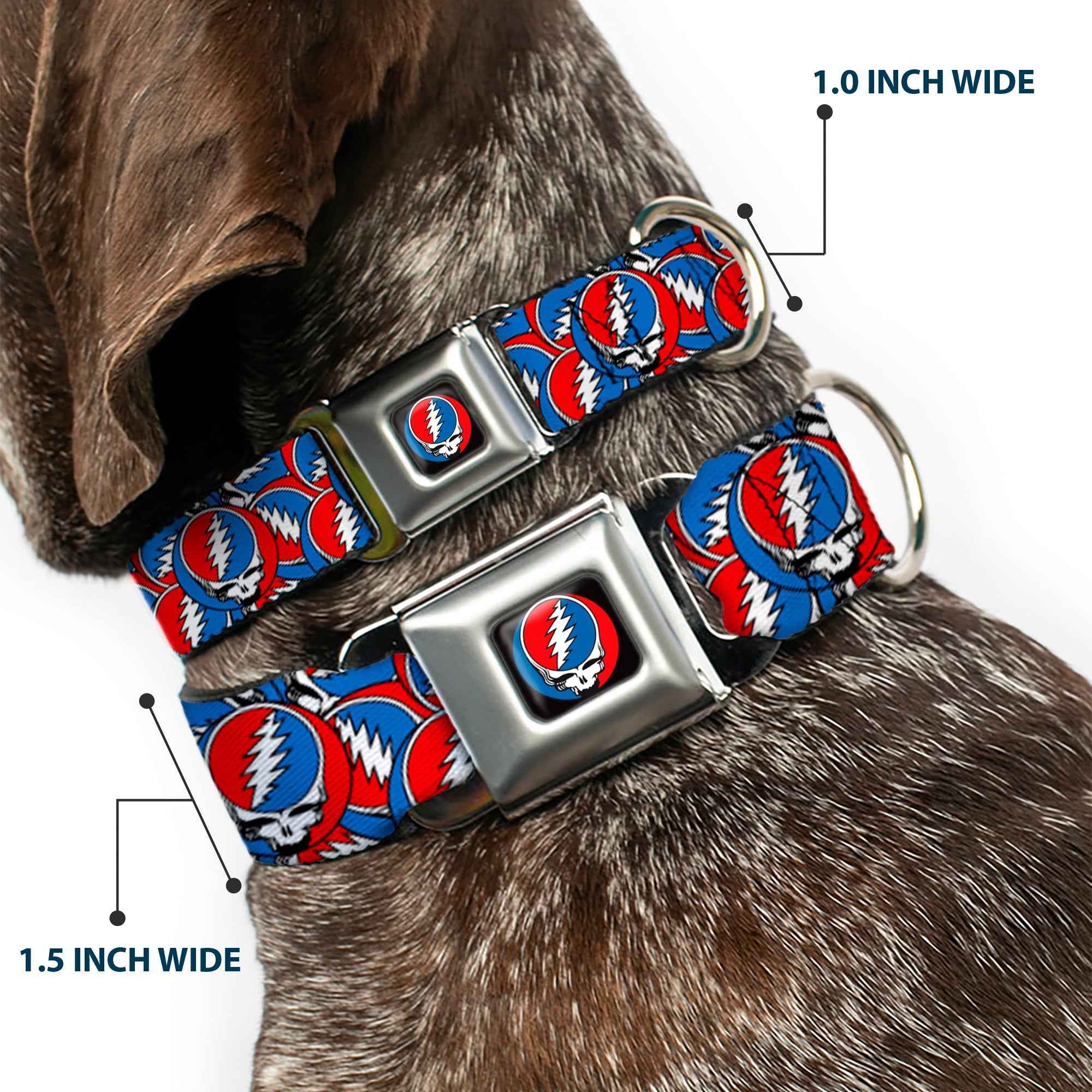 Buckle-Down Grateful Dead Steal Your Face Logo Black/Red/White/Blue & Stacked Red/White/Blue Seatbelt Buckle Dog Collar