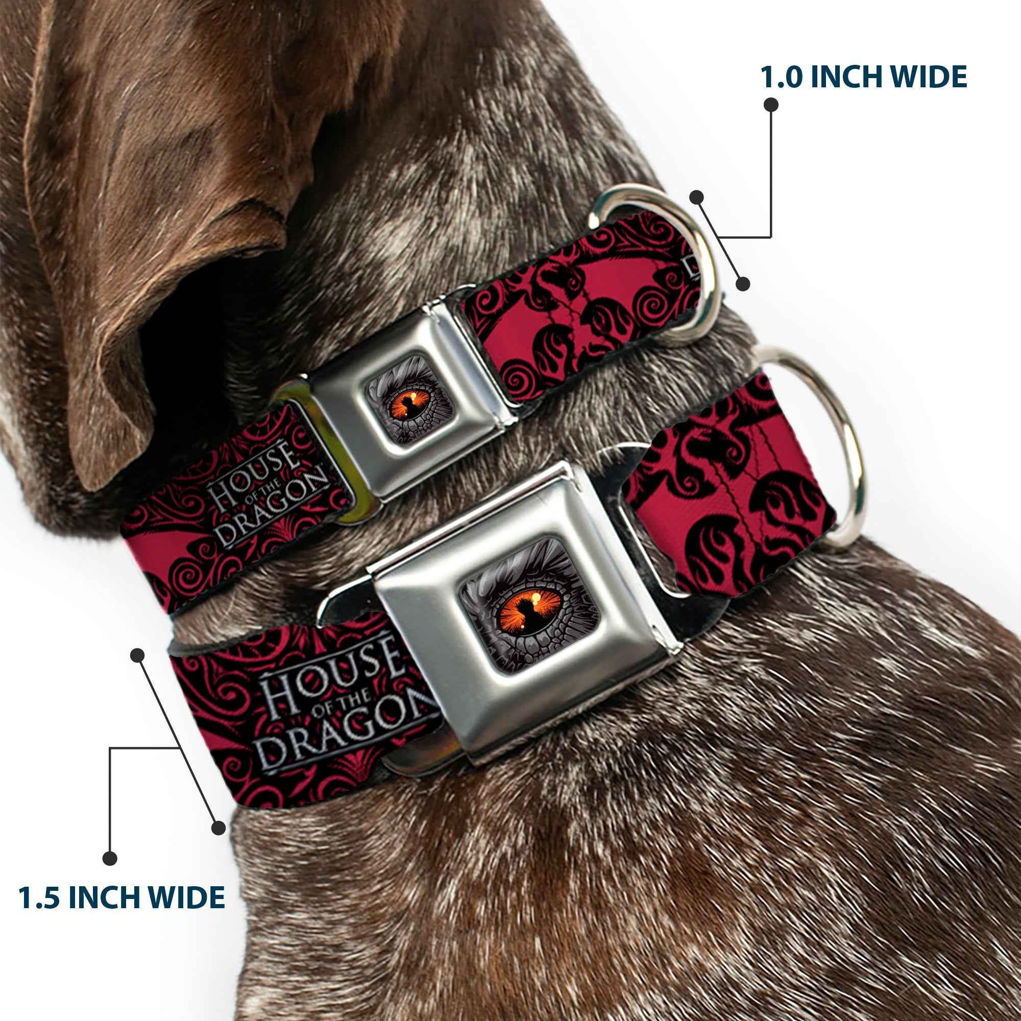 House of the Dragon Eye Throne Icon Full Color Black/Gray/Orange Seatbelt Buckle Collar - HOUSE OF THE DRAGON Dragon Icon Black/Red/White