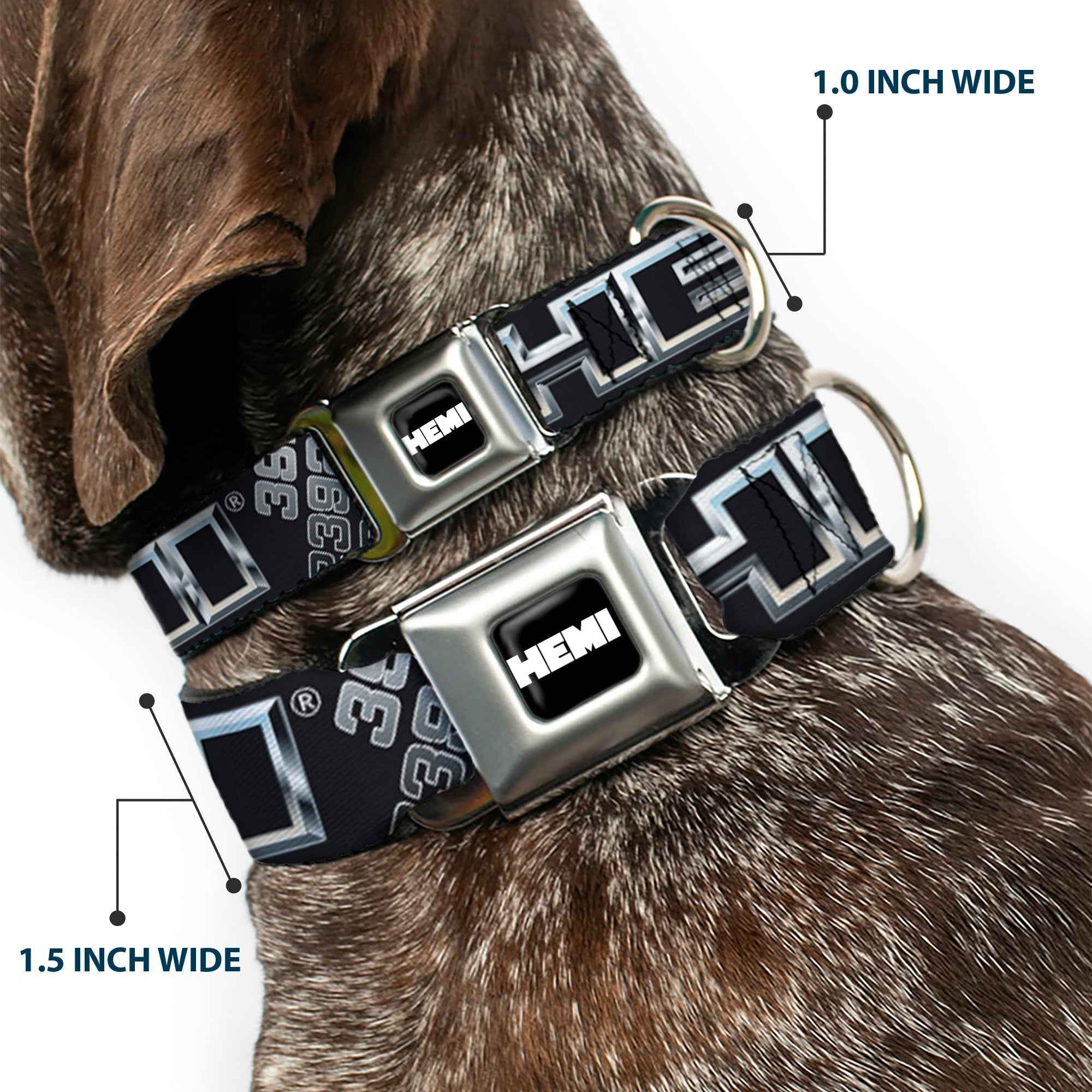 Buckle-Down Hemi Bold Full Color Black/White Seatbelt Buckle Dog Collar - Hemi Bold Outline 392/426 Black/Silver-Fade