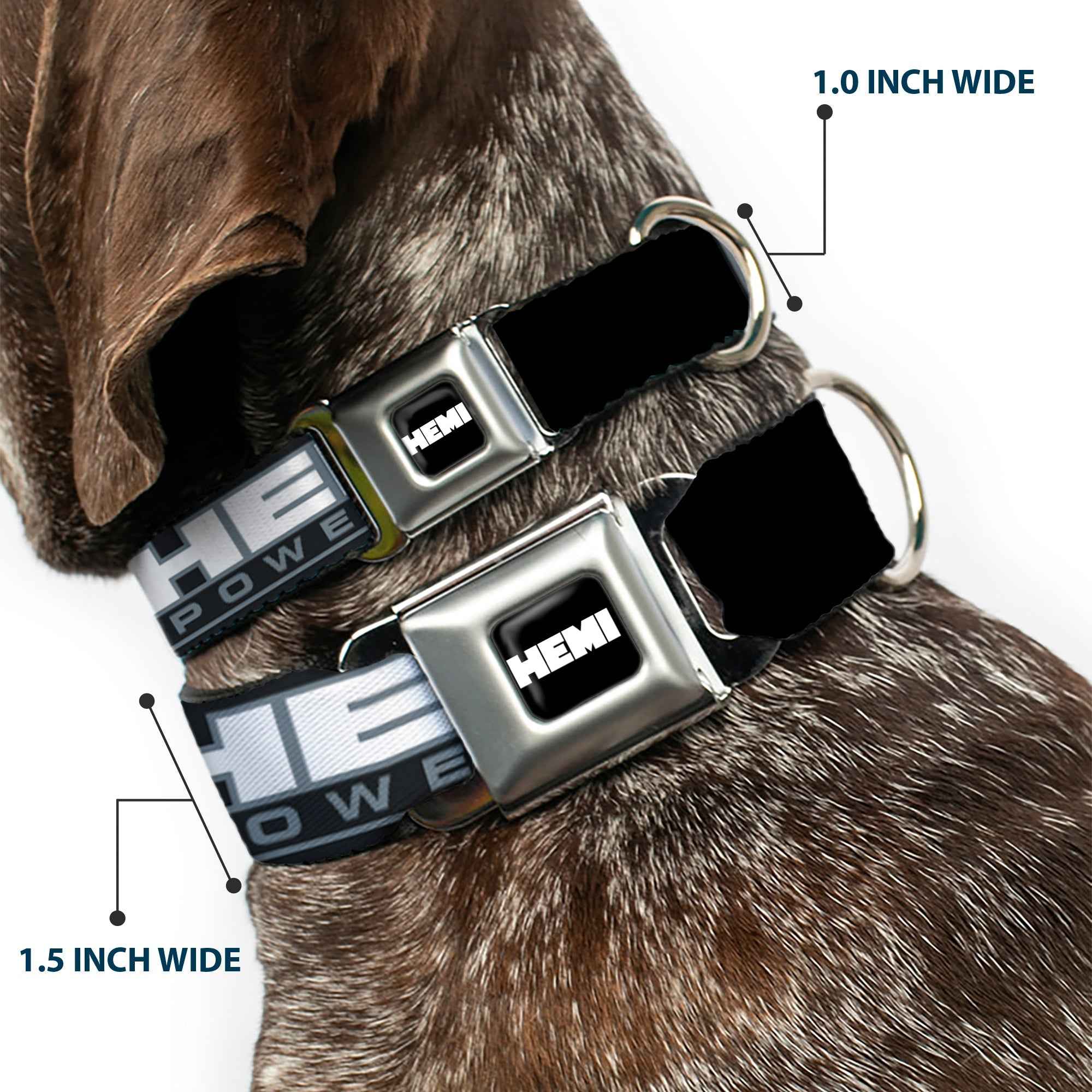 Buckle-Down Hemi Bold Full Color Black/White Seatbelt Buckle Dog Collar - Hemi Powered Logo Black/Gray/White