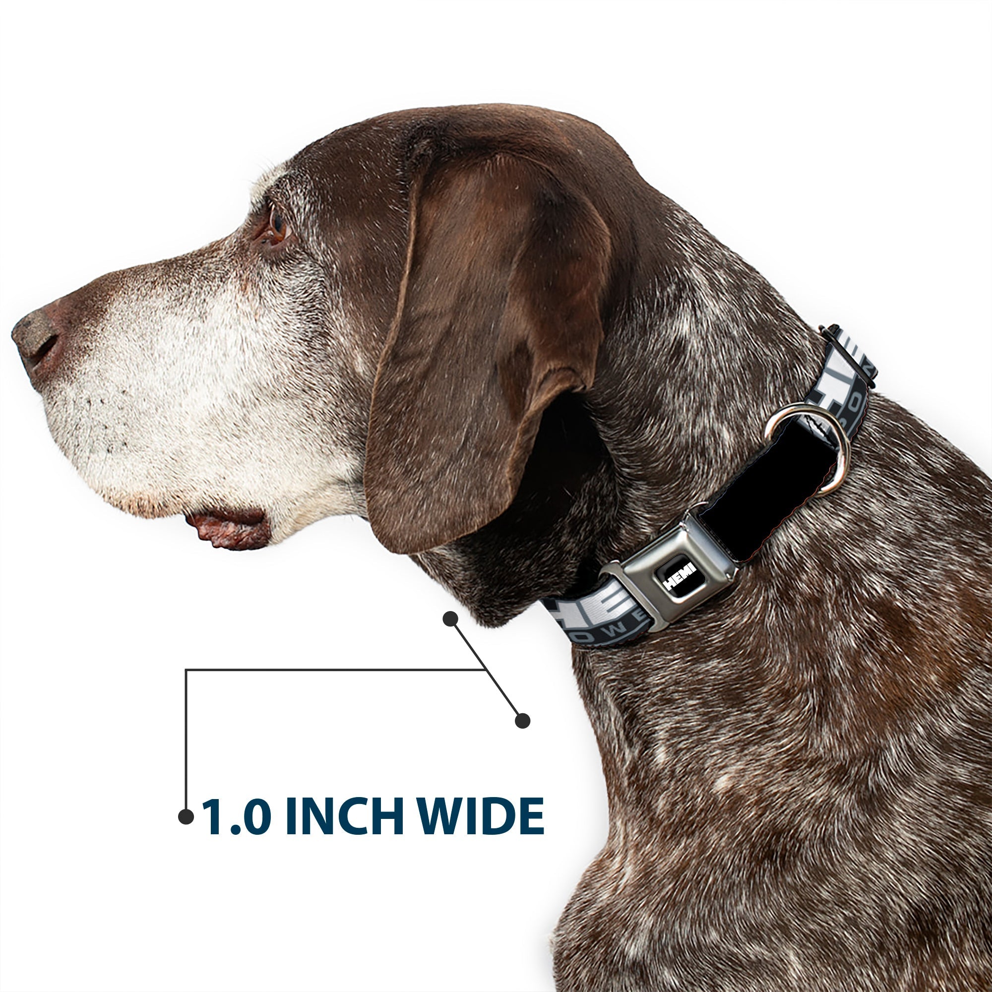 Buckle-Down Hemi Bold Full Color Black/White Seatbelt Buckle Dog Collar - Hemi Powered Logo Black/Gray/White