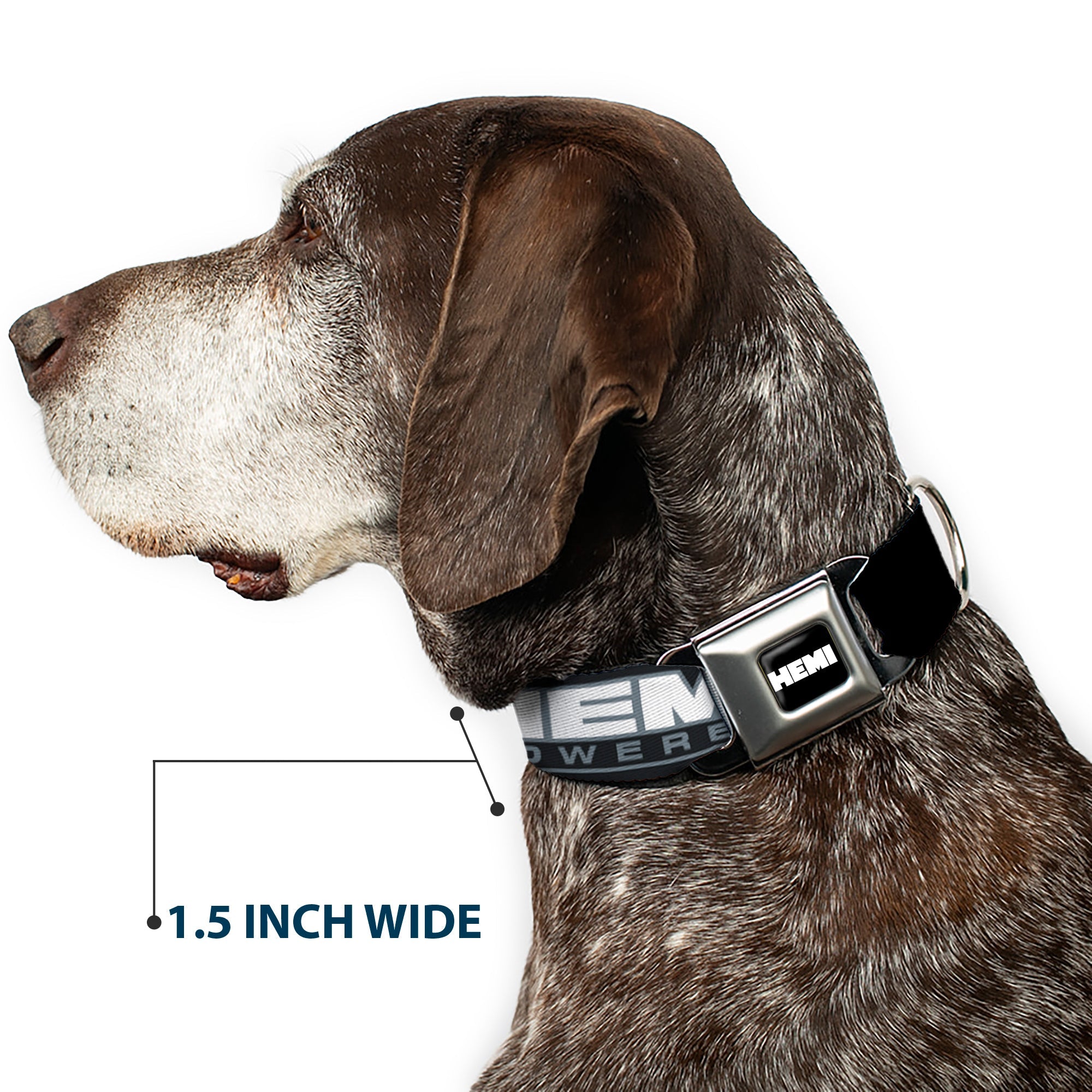 Buckle-Down Hemi Bold Full Color Black/White Seatbelt Buckle Dog Collar - Hemi Powered Logo Black/Gray/White