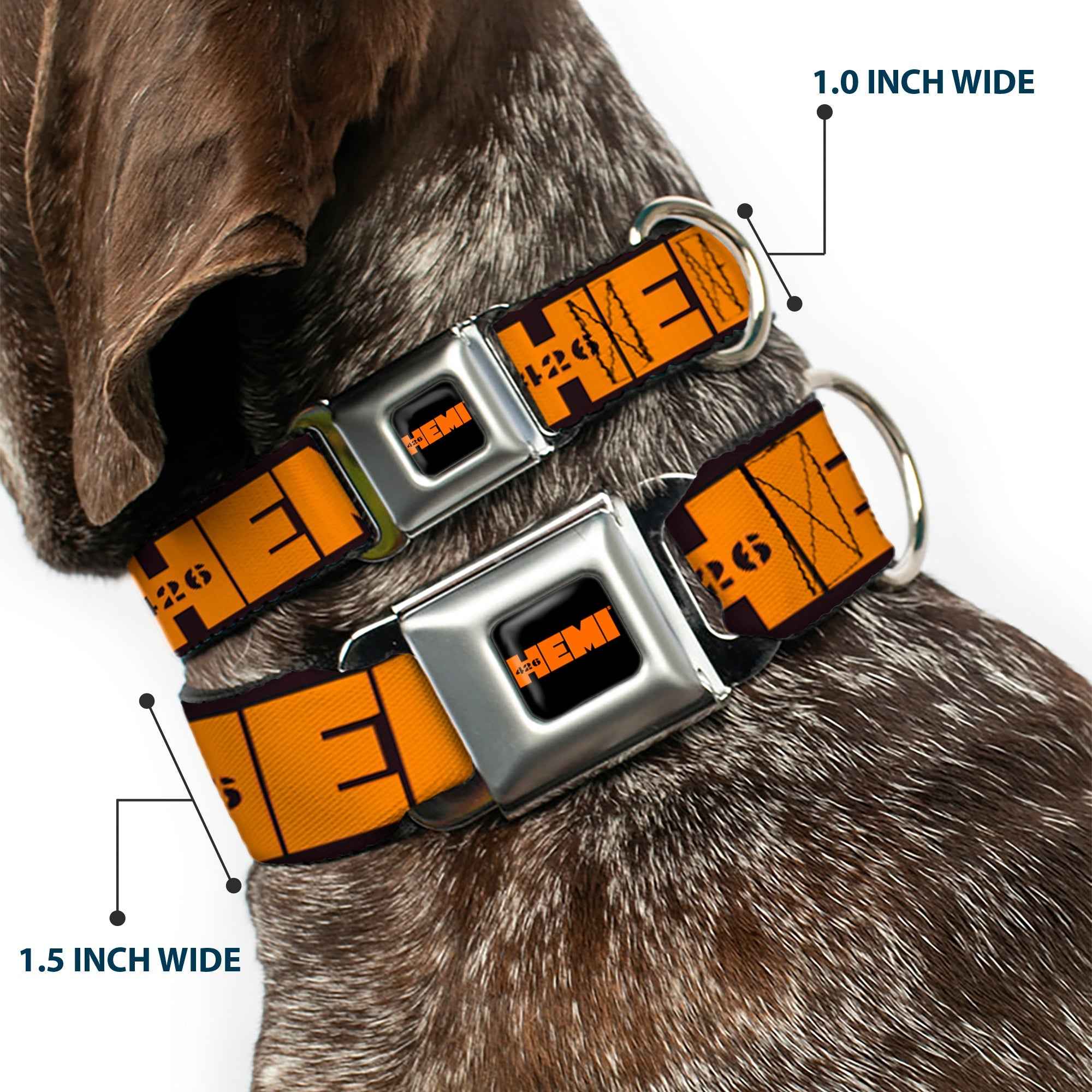 Buckle-Down Hemi 426 Logo Full Color Black Orange Seatbelt Buckle Dog Collar - Hemi 426 Logo 392/426 Black/Orange/Silver-Fade