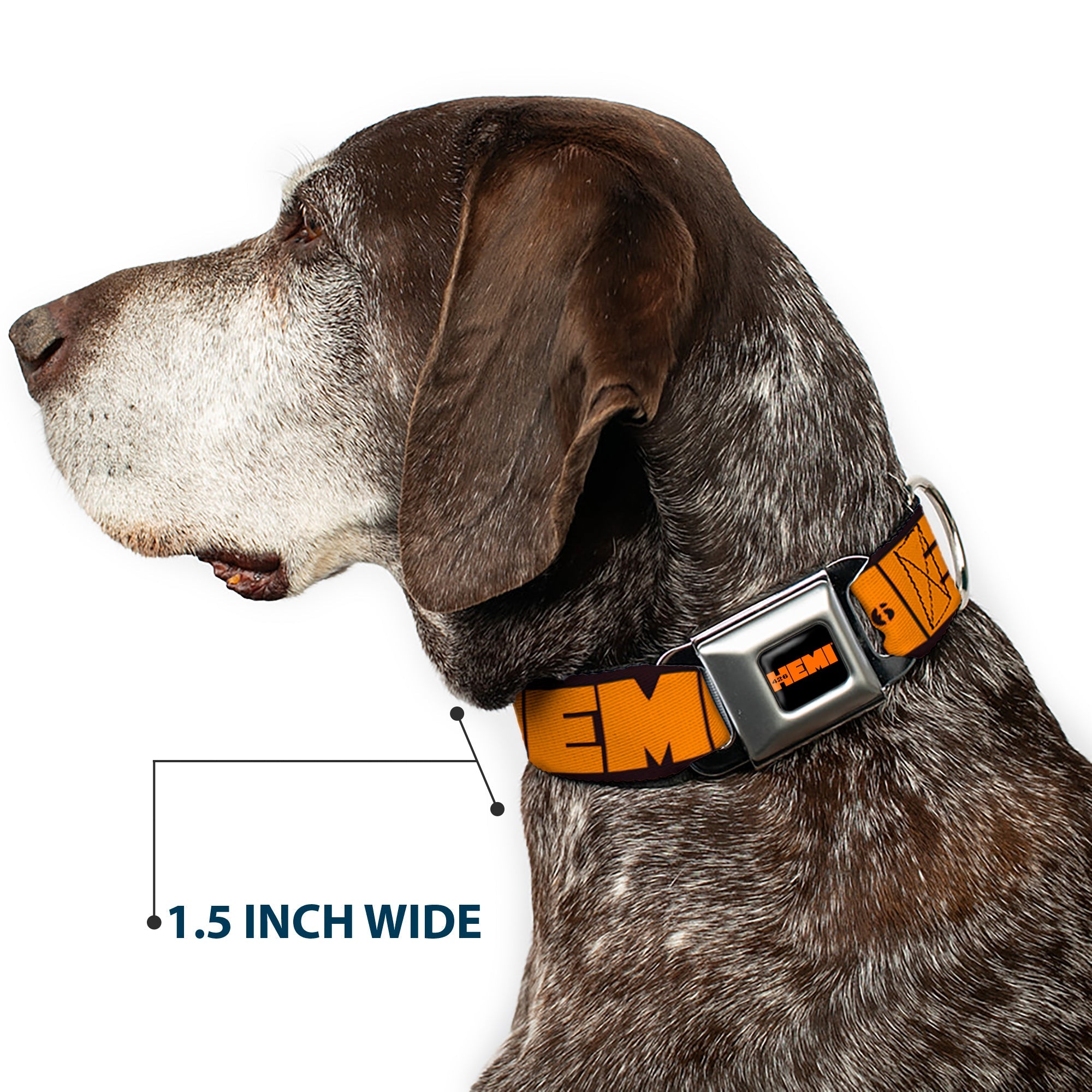 Buckle-Down Hemi 426 Logo Full Color Black Orange Seatbelt Buckle Dog Collar - Hemi 426 Logo 392/426 Black/Orange/Silver-Fade