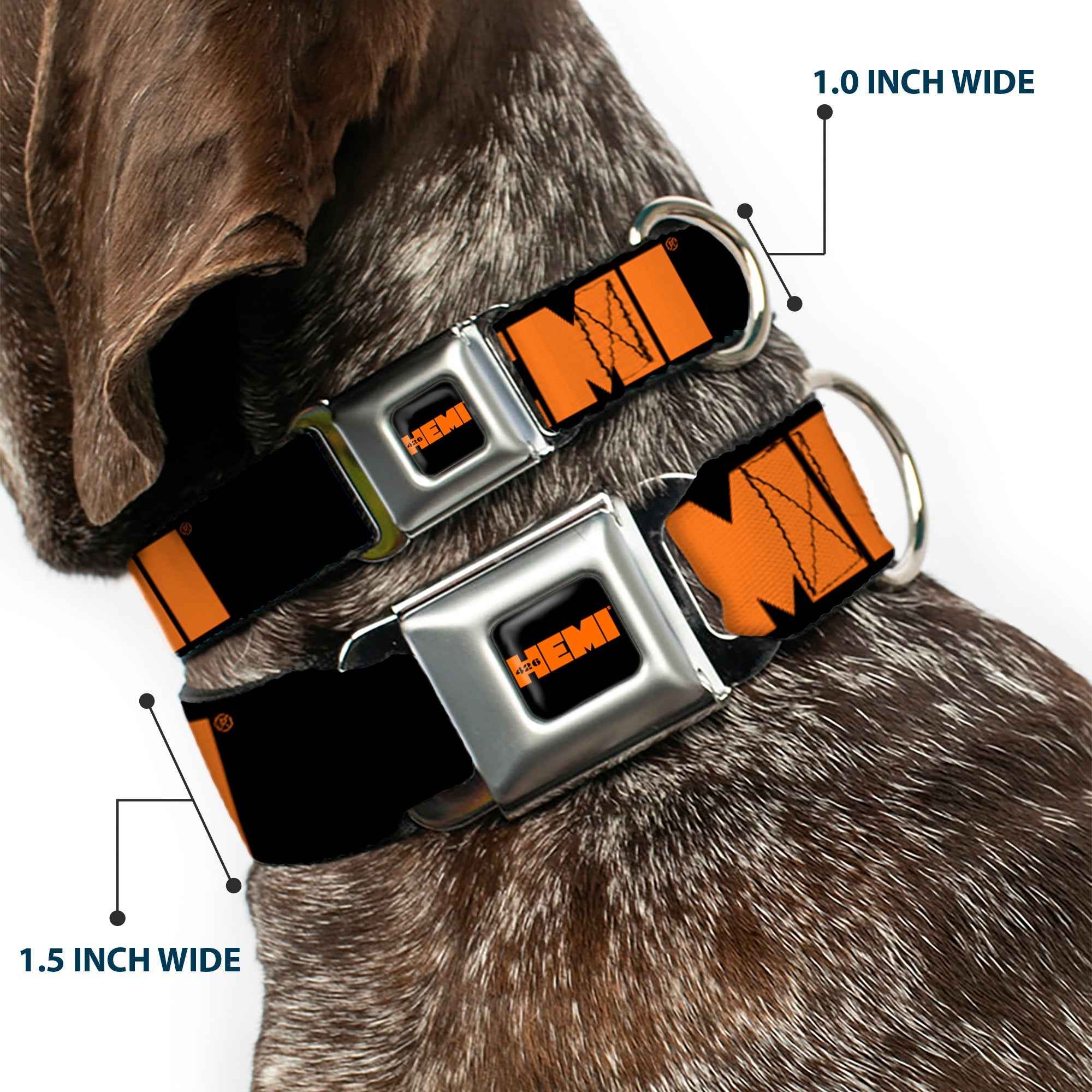 Buckle-Down Hemi 426 Logo Full Color Black Orange Seatbelt Buckle Dog Collar - Hemi 426 Logo Repeat Black/Orange