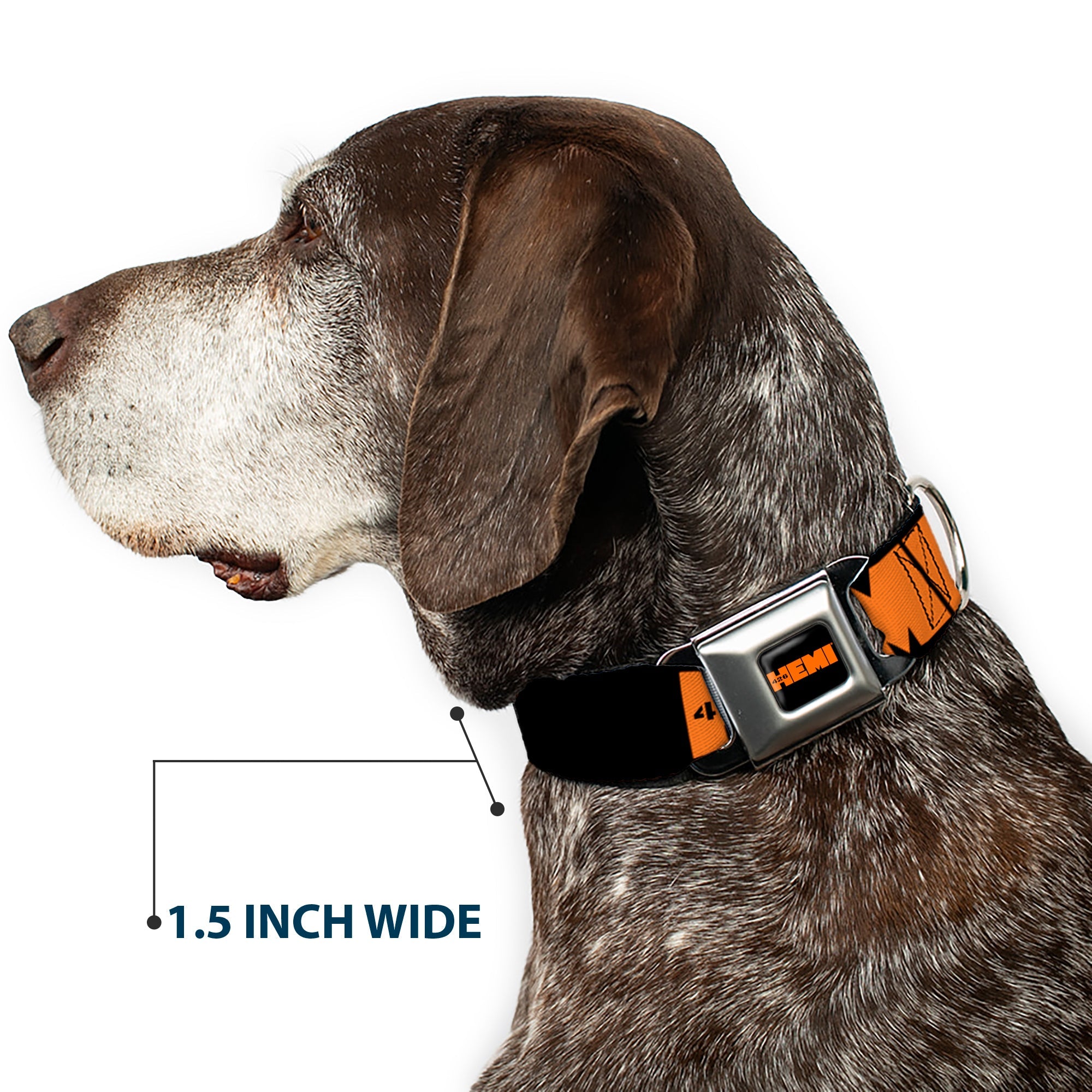 Buckle-Down Hemi 426 Logo Full Color Black Orange Seatbelt Buckle Dog Collar - Hemi 426 Logo Repeat Black/Orange