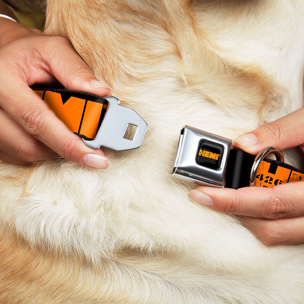 Buckle-Down Hemi 426 Logo Full Color Black Orange Seatbelt Buckle Dog Collar - Hemi 426 Logo Repeat Black/Orange