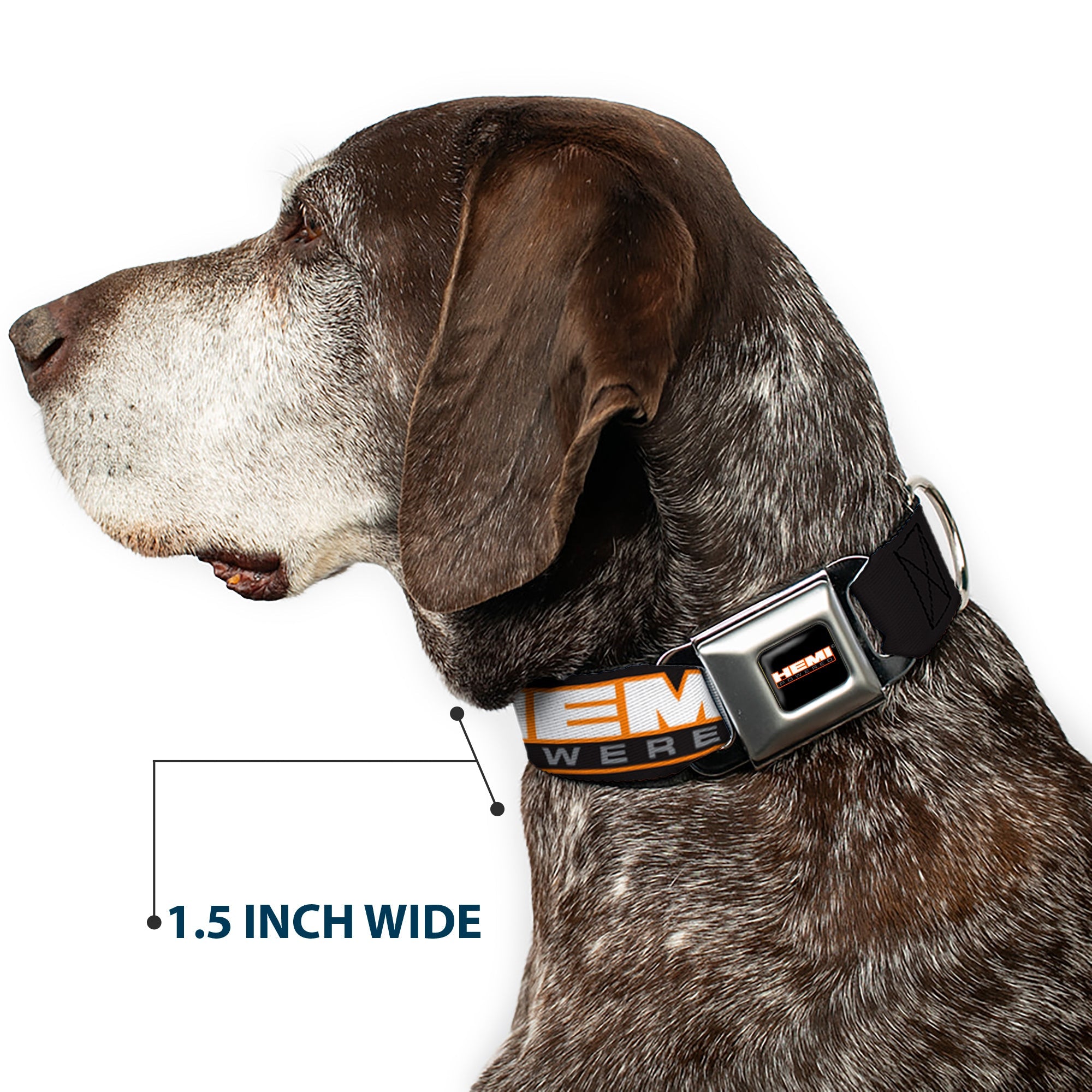 Buckle-Down Hemi Powered Logo Full Color Black/Orange/White/Gray Seatbelt Buckle Dog Collar - Hemi Powered Logo Repeat Black/Orange/White/Gray