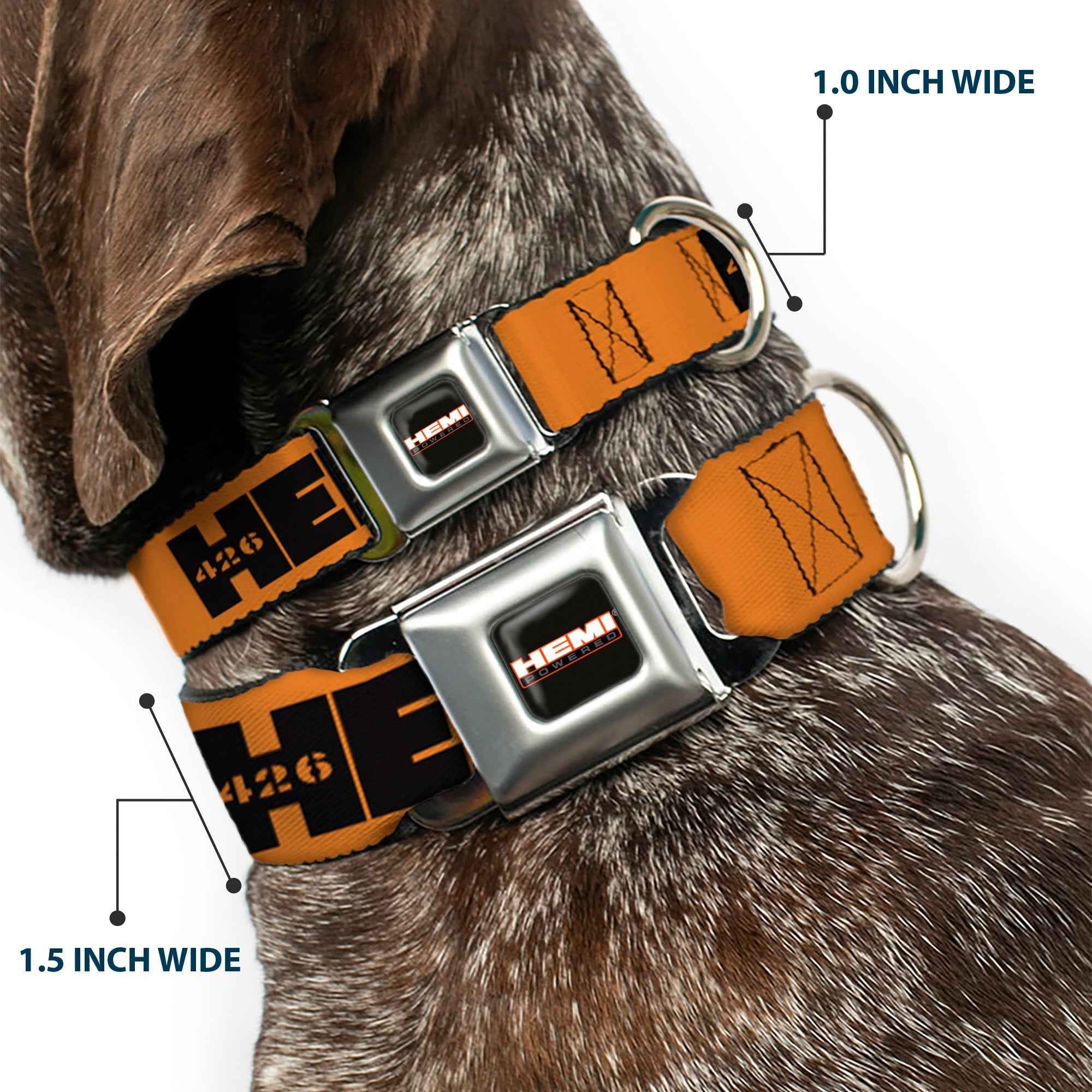Buckle-Down Hemi 426 Logo Full Color Orange Black Seatbelt Buckle Dog Collar - Hemi 426 Logo Repeat Orange/Black