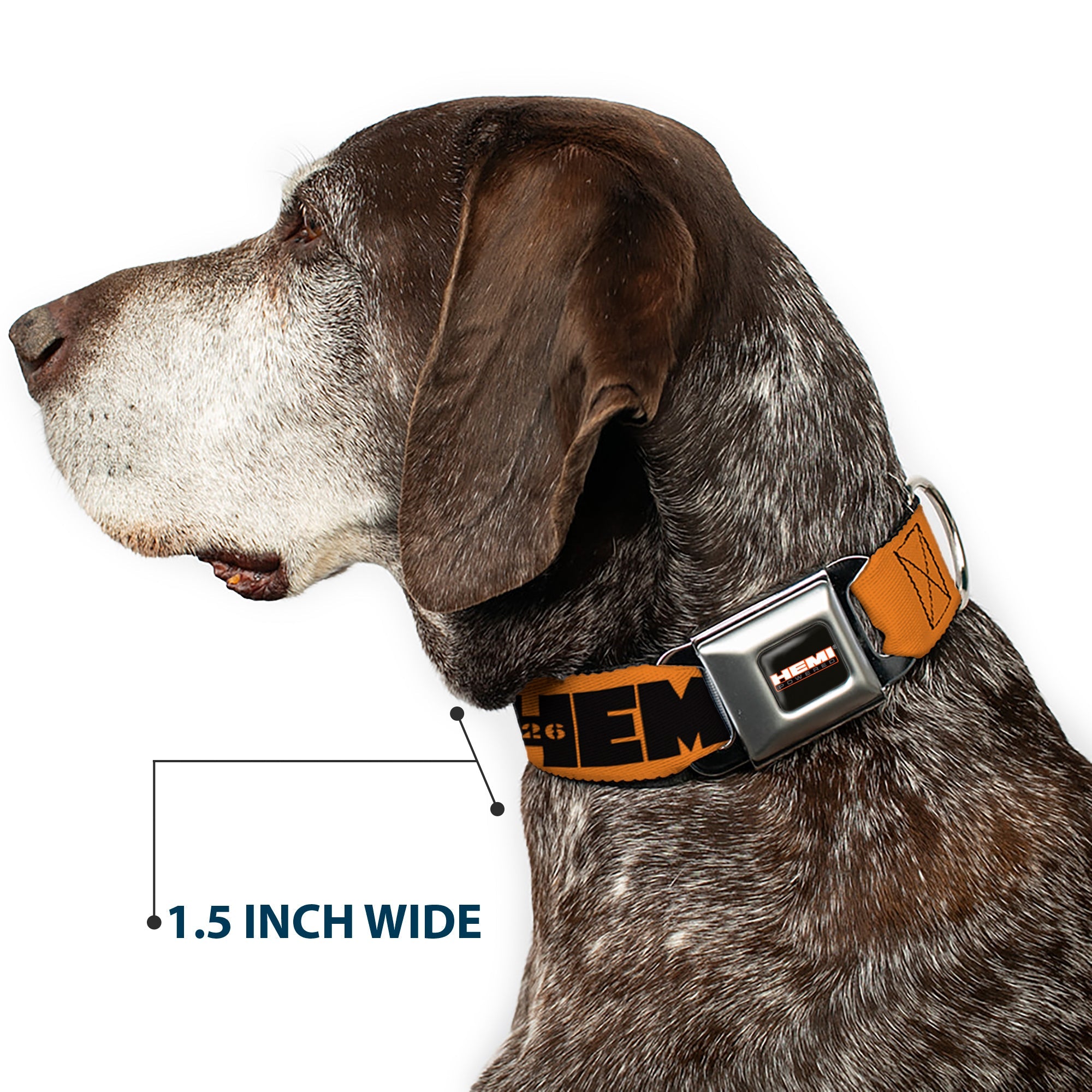 Buckle-Down Hemi 426 Logo Full Color Orange Black Seatbelt Buckle Dog Collar - Hemi 426 Logo Repeat Orange/Black