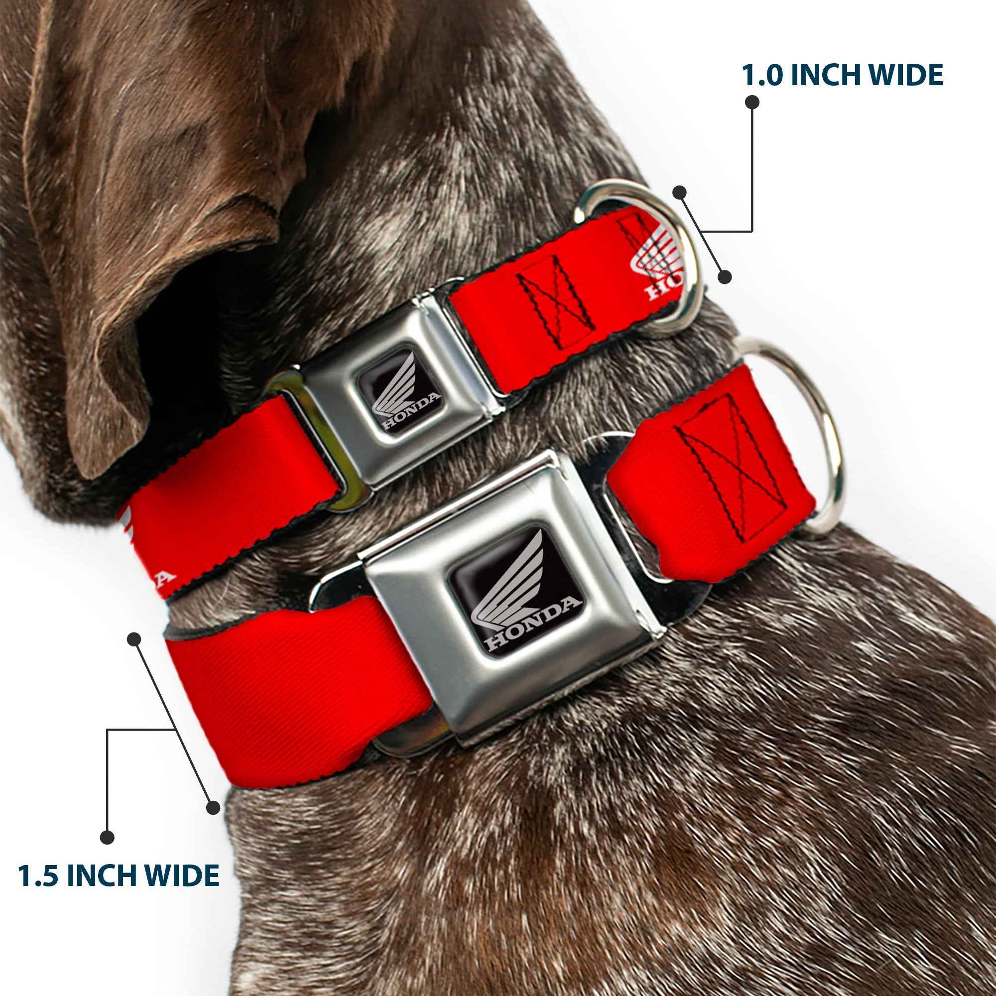 Buckle-Down Honda Motorcycle Black/Silver Seatbelt Buckle Dog Collar - Honda Motorcycle Logo Red/White