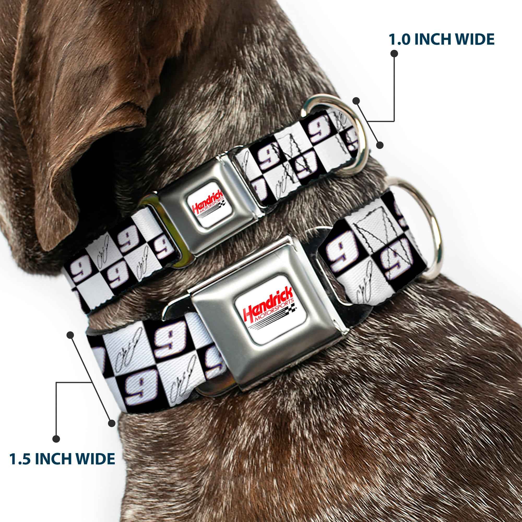 Buckle-Down Hendrick Motorsports Checker Logo Red/White & Chase Elliott Autograph and #9 Checker Logo Seatbelt Buckle Dog Collar