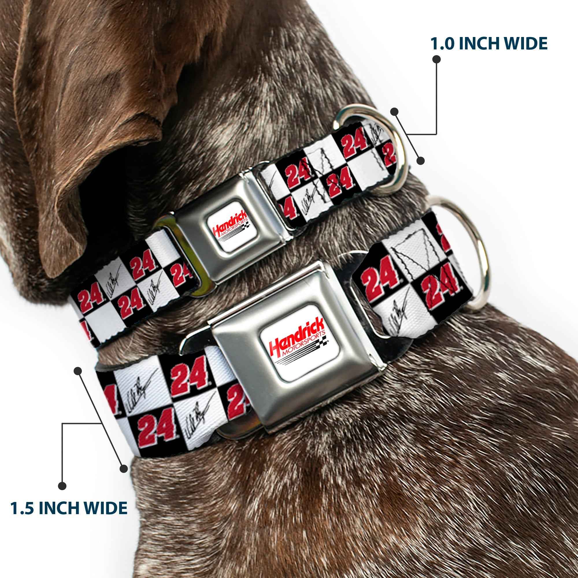 Buckle-Down Hendrick Motorsports Checker Logo Red/White & William Byron Autograph and #24 Checker Logo Seatbelt Buckle Dog Collar