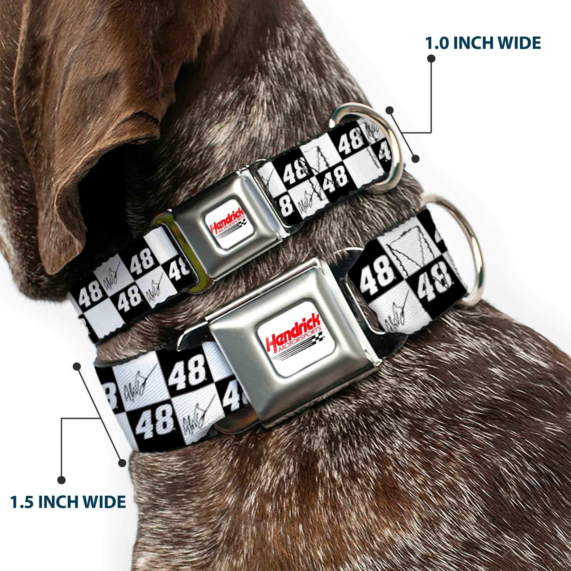 Buckle-Down Hendrick Motorsports Checker Logo Full Color Red/White Seatbelt Buckle Dog Collar - Alex Bowman Autograph and #48 Checker Logo Black/White