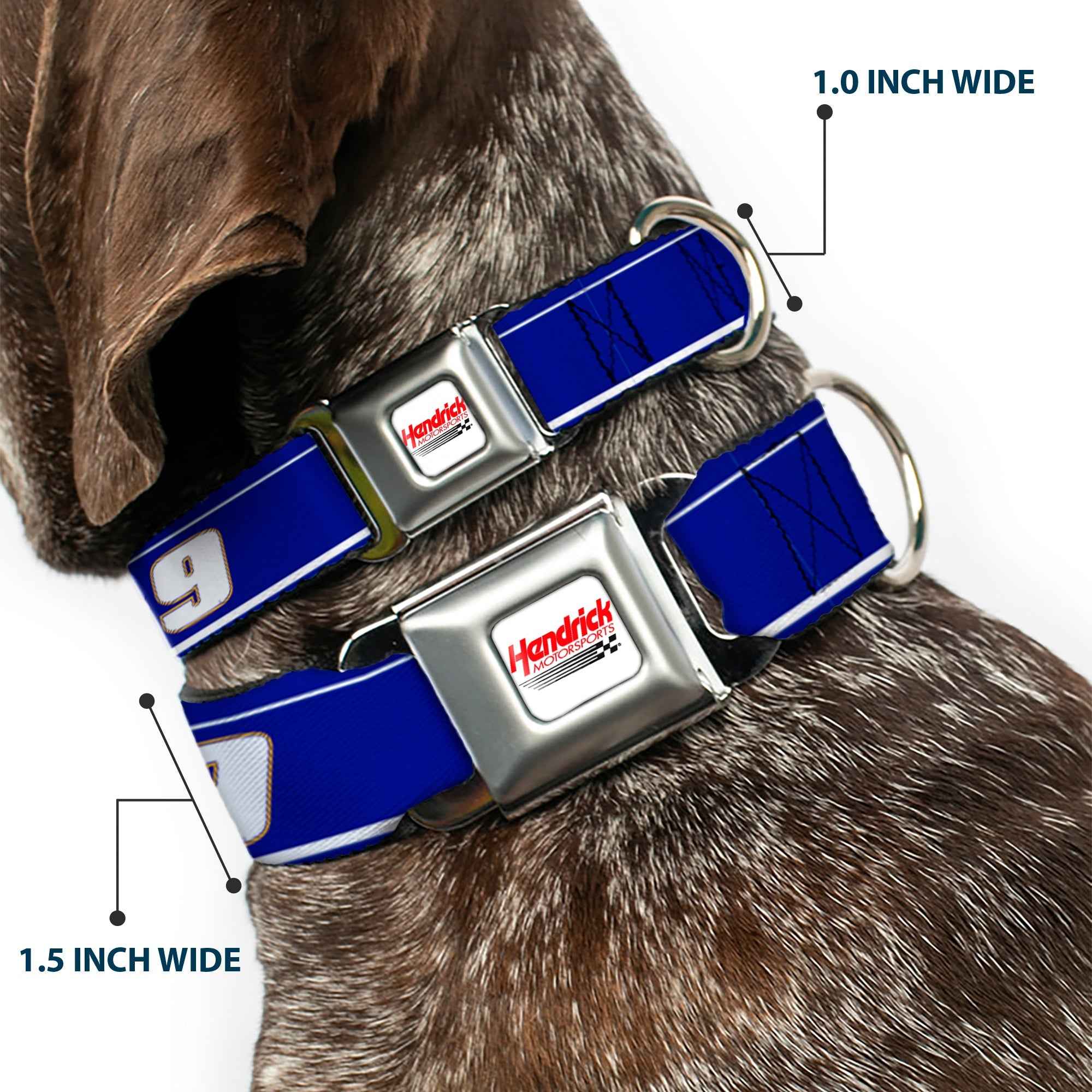 Buckle-Down Hendrick Motorsports Checker Logo Full Color Red/White Seatbelt Buckle Dog Collar - Chase Elliott #9 Car Scheme Blue/Yellow/White