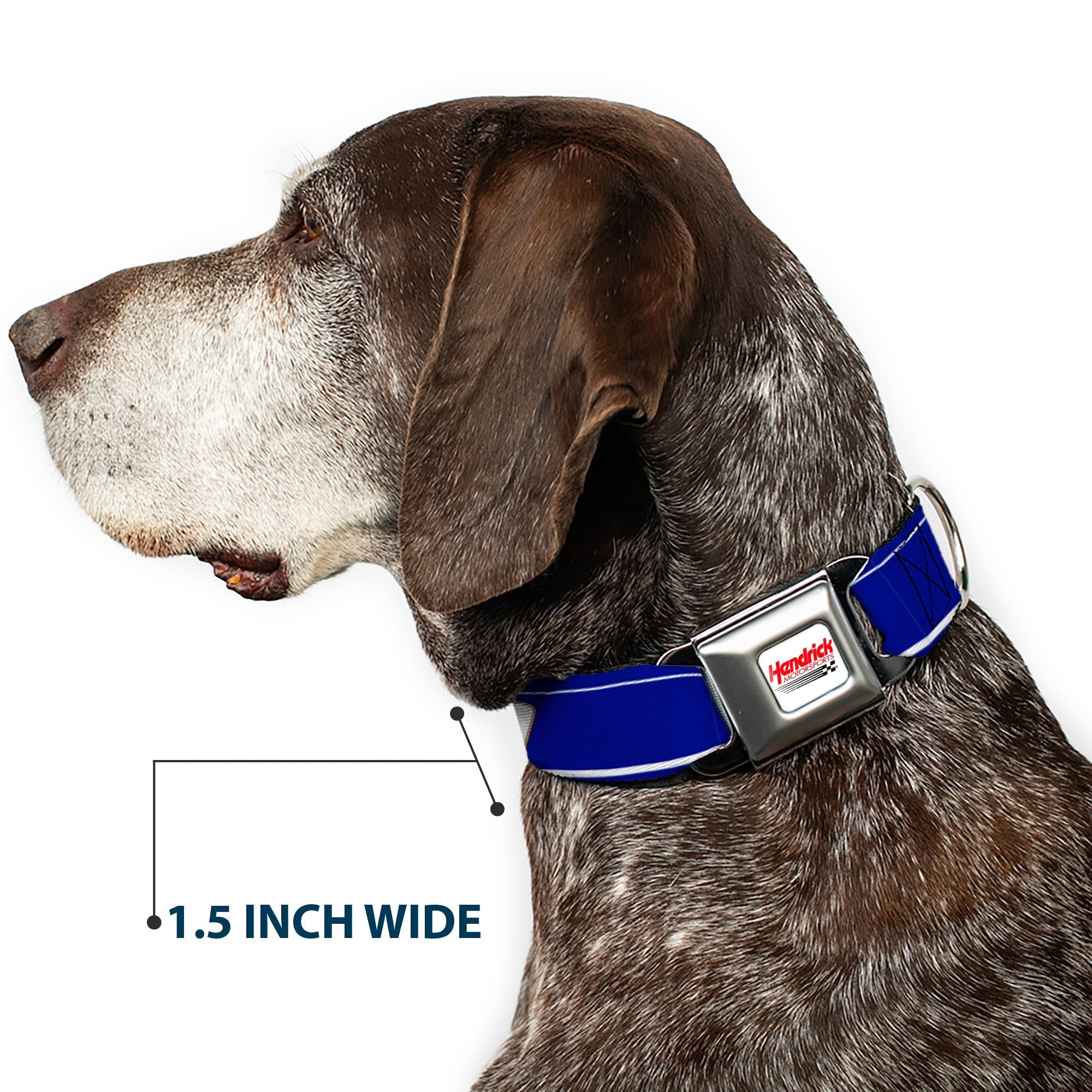 Buckle-Down Hendrick Motorsports Checker Logo Full Color Red/White Seatbelt Buckle Dog Collar - Chase Elliott #9 Car Scheme Blue/Yellow/White