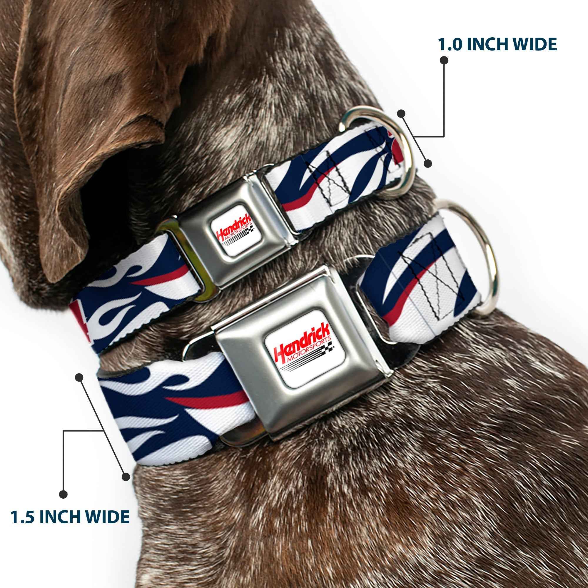 Buckle-Down Hendrick Motorsports Checker Logo Full Color Red/White Seatbelt Buckle Dog Collar - William Byron #24 Car Scheme White/Red/Blue