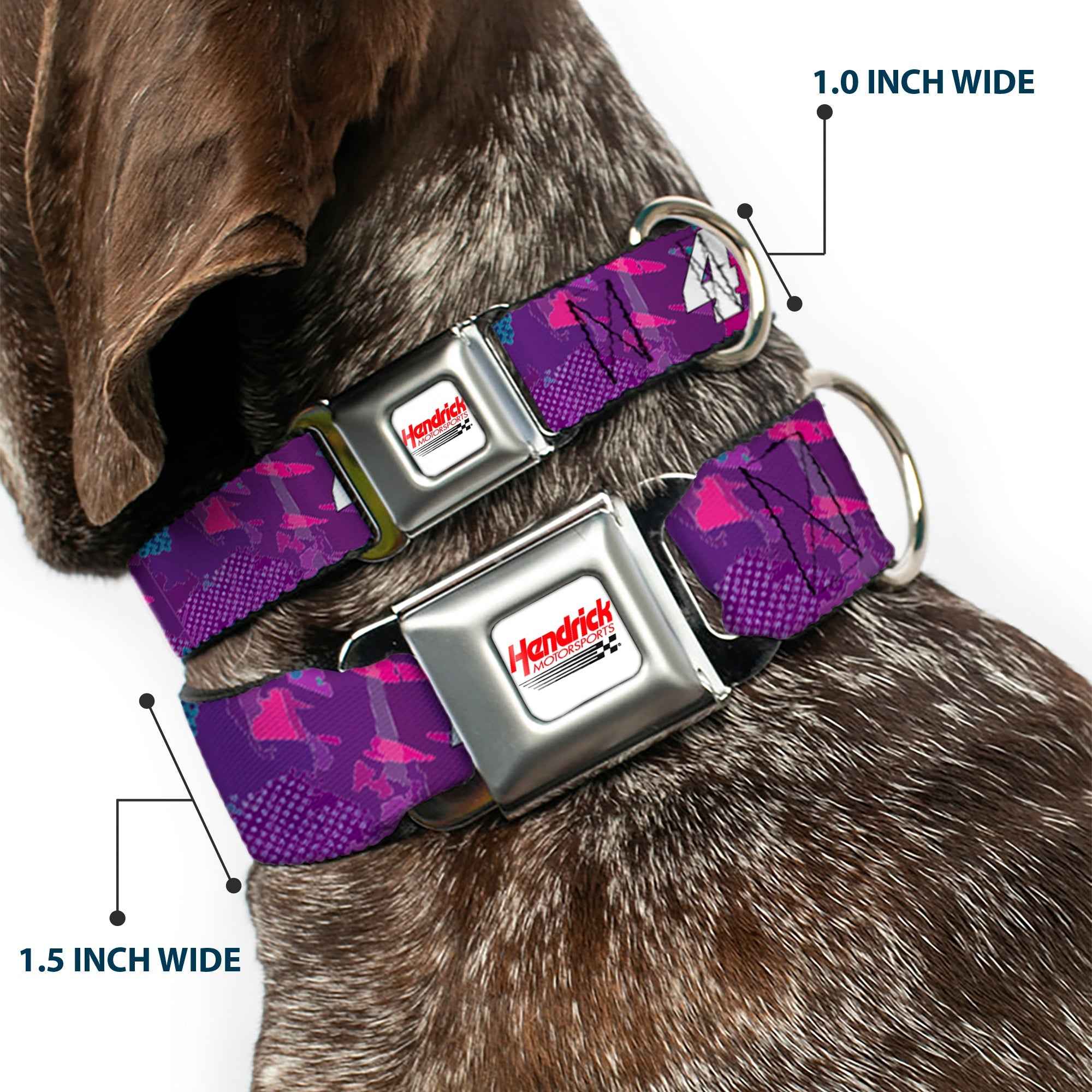 Buckle-Down Hendrick Motorsports Checker Logo Full Color Red/White Seatbelt Buckle Dog Collar - Alex Bowman #48 Car Scheme Purples/Pinks/White