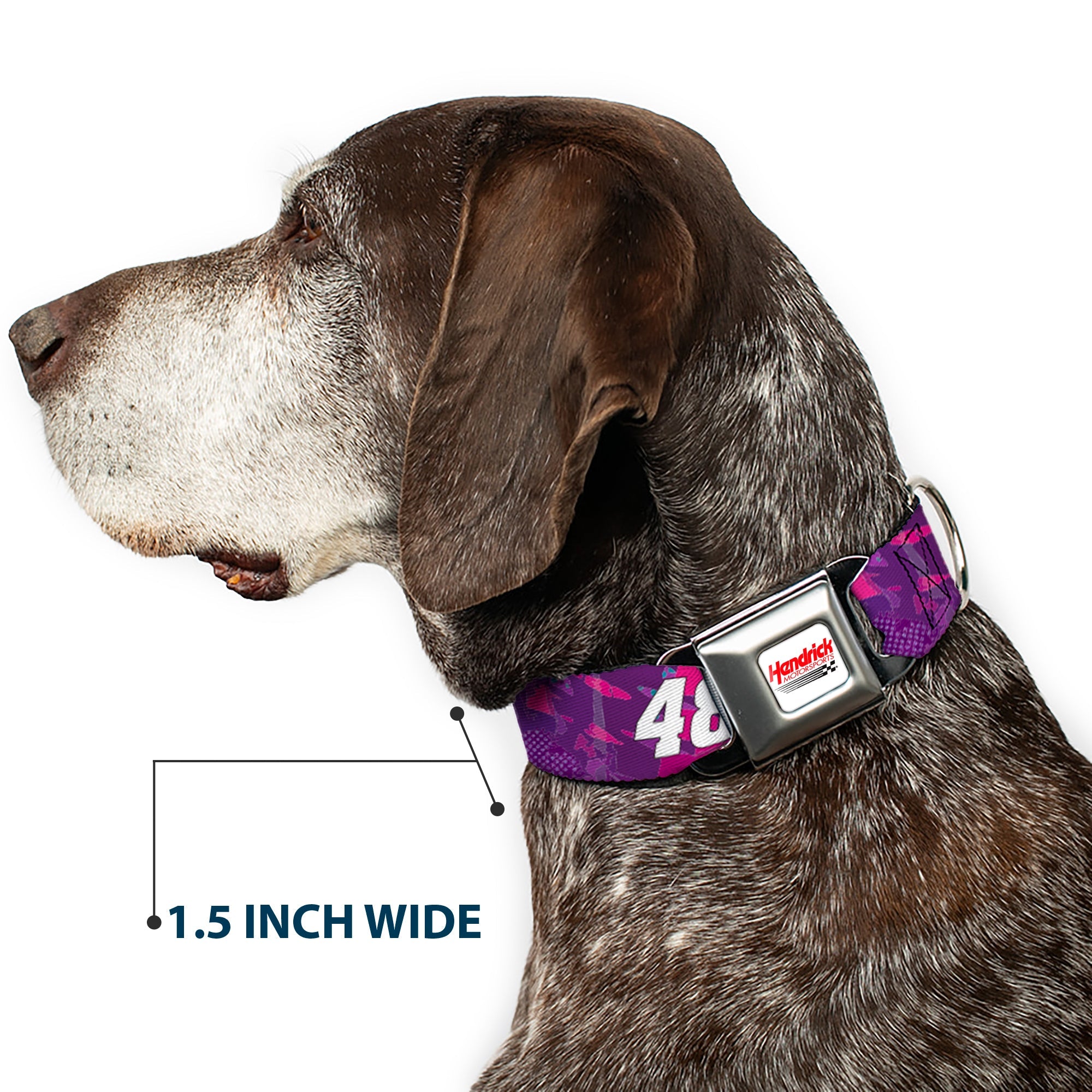 Buckle-Down Hendrick Motorsports Checker Logo Full Color Red/White Seatbelt Buckle Dog Collar - Alex Bowman #48 Car Scheme Purples/Pinks/White