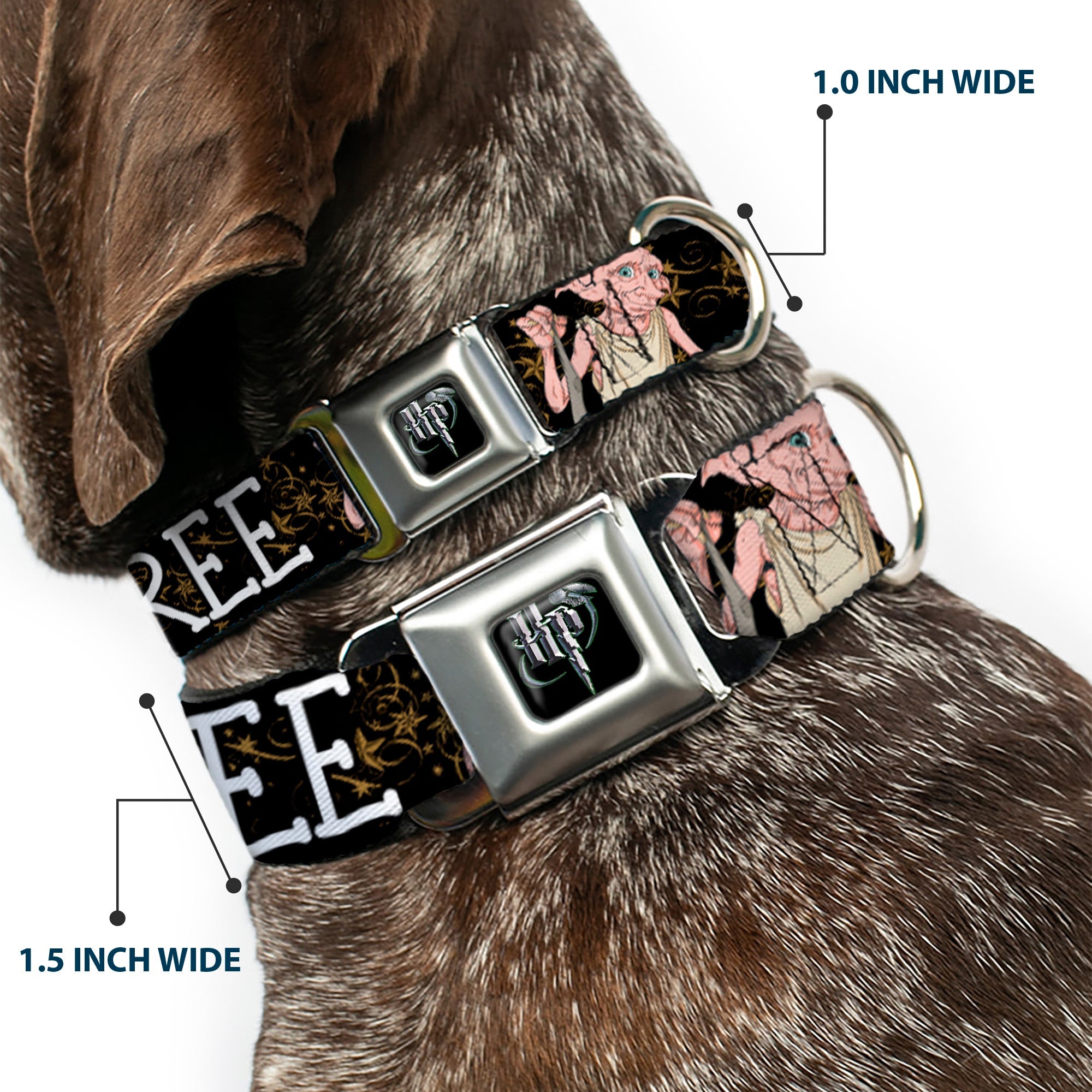 Harry Potter Logo Full Color Black/White Seatbelt Buckle Collar - DOBBY IS FREE/3-Dobby Poses Star Swirls Black/Gold/White