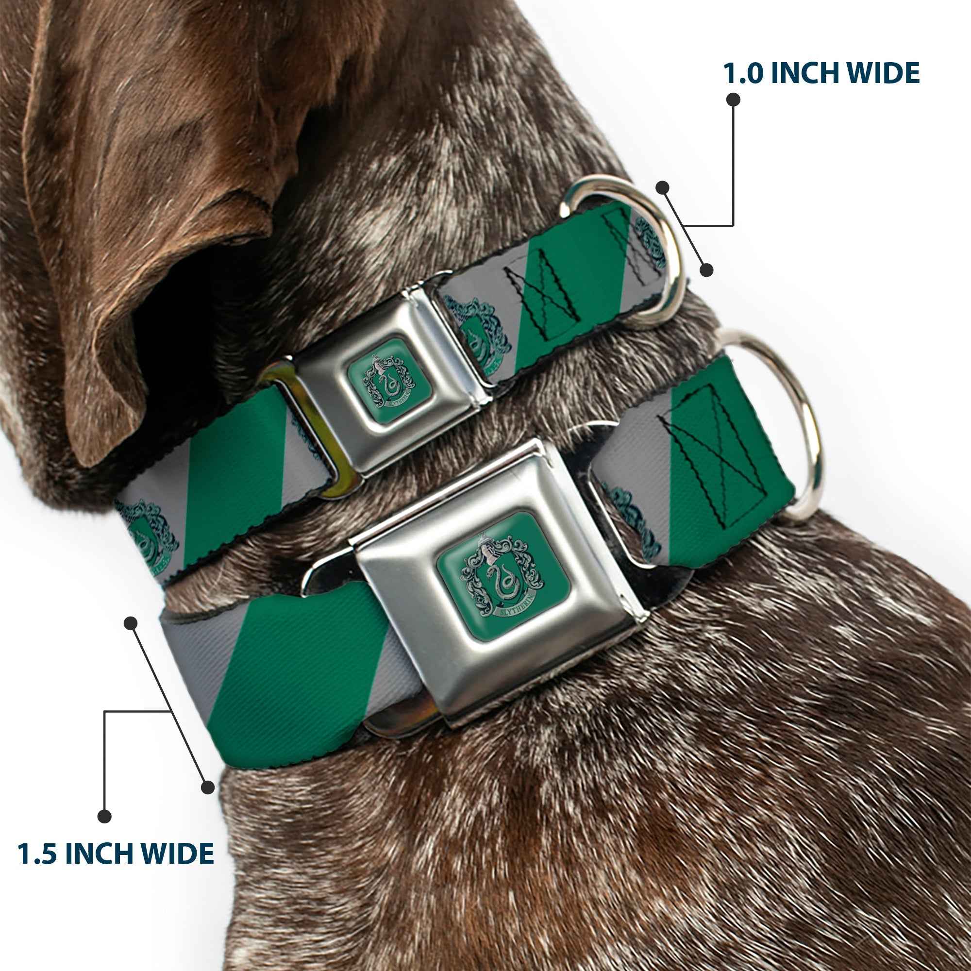 Buckle-Down Slytherin Crest Full Color Green Seatbelt Buckle Dog Collar - Slytherin Crest Diagonal Stripe Gray/Green