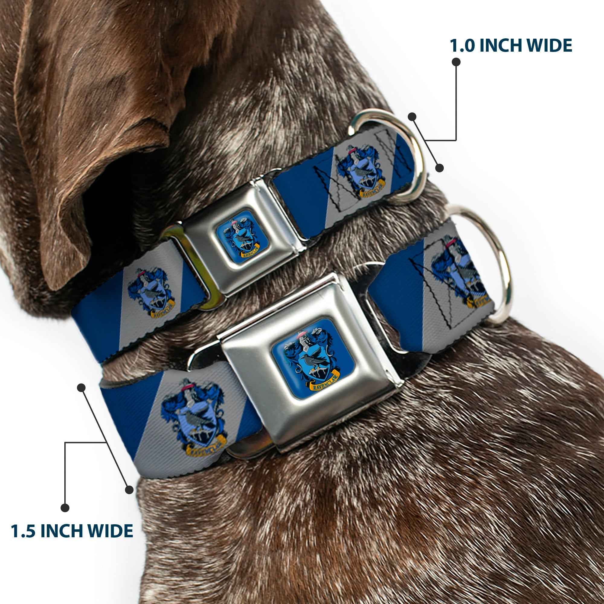 Buckle-Down Ravenclaw Crest Full Color Blue Seatbelt Buckle Dog Collar - Ravenclaw Crest Diagonal Stripe Gray/Blue