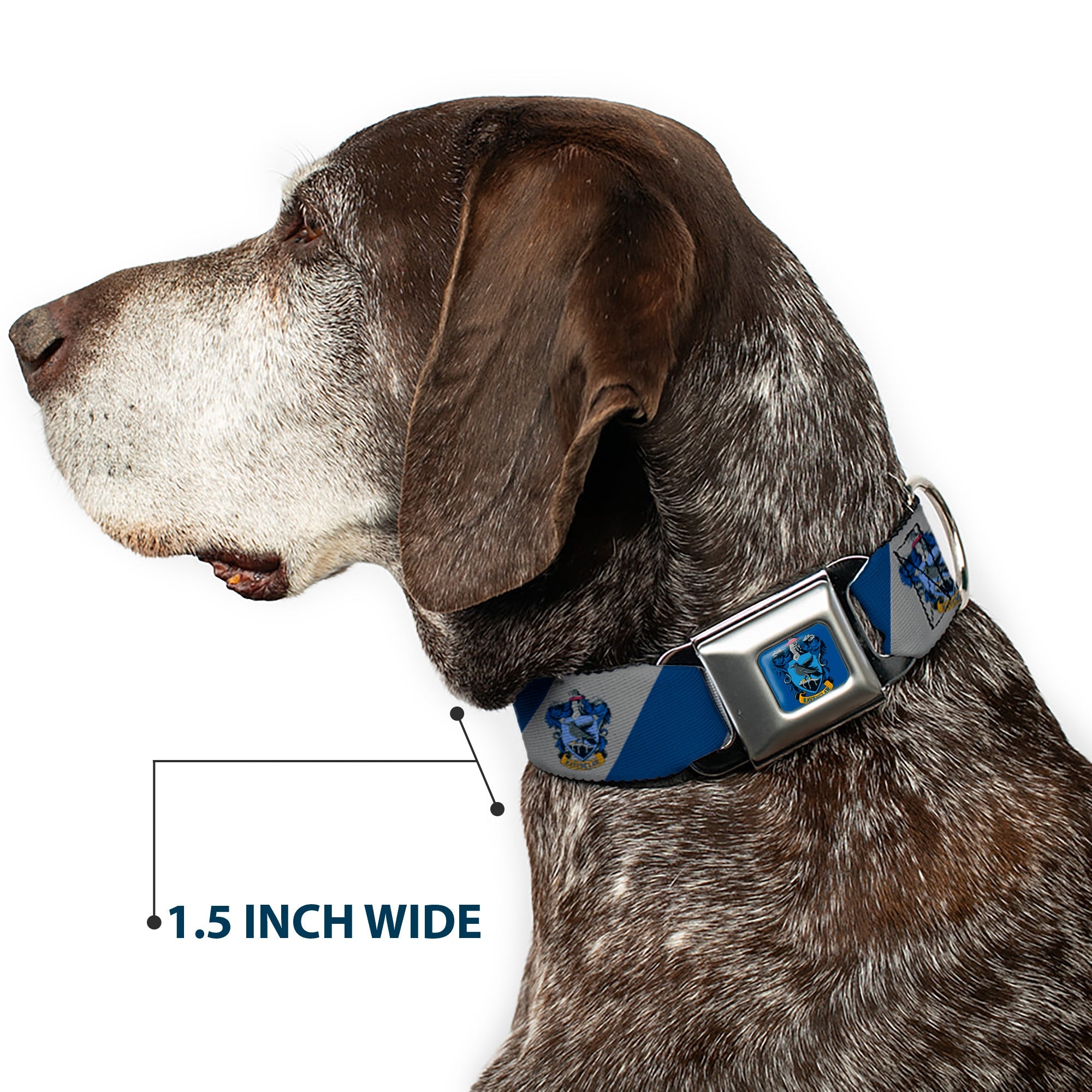 Buckle-Down Ravenclaw Crest Full Color Blue Seatbelt Buckle Dog Collar - Ravenclaw Crest Diagonal Stripe Gray/Blue