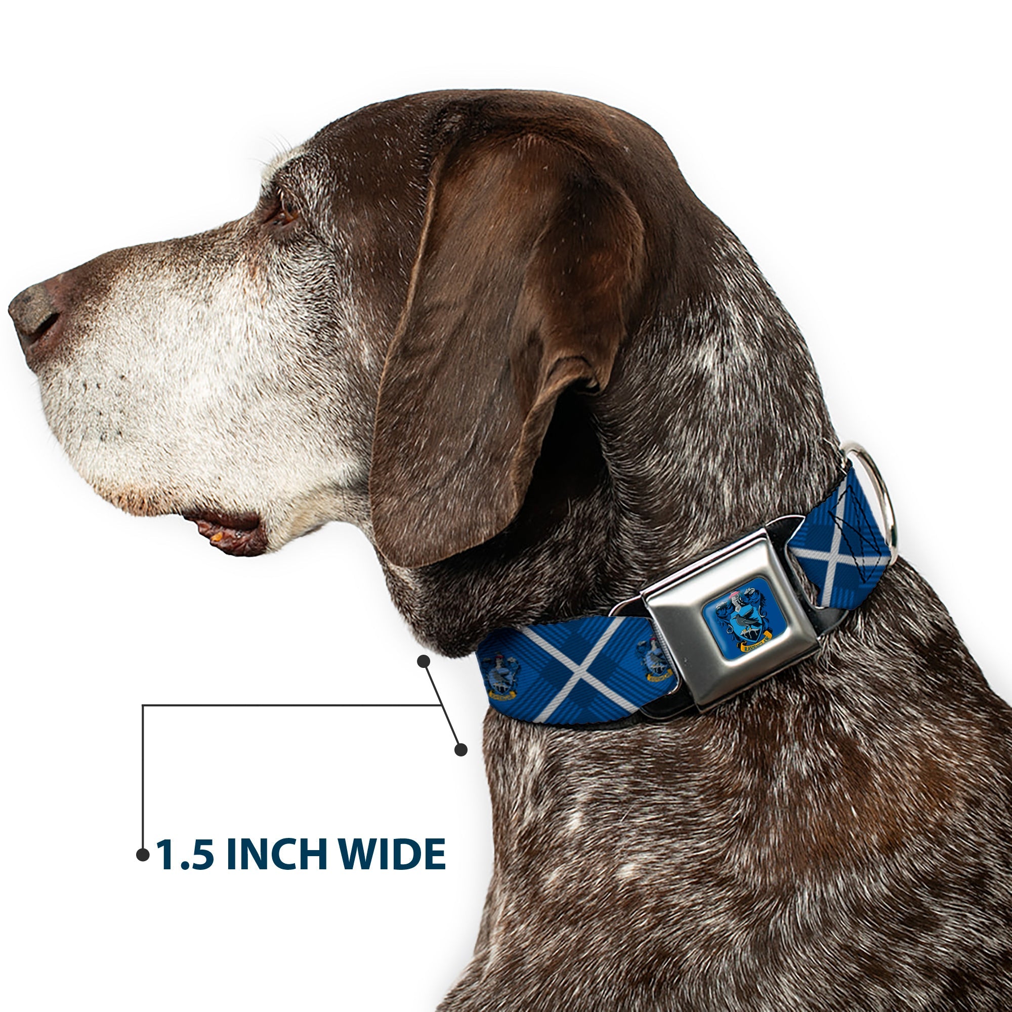 RAVENCLAW Crest Full Color Blue Seatbelt Buckle Collar - Harry Potter Ravenclaw Crest Plaid Blues/Gray