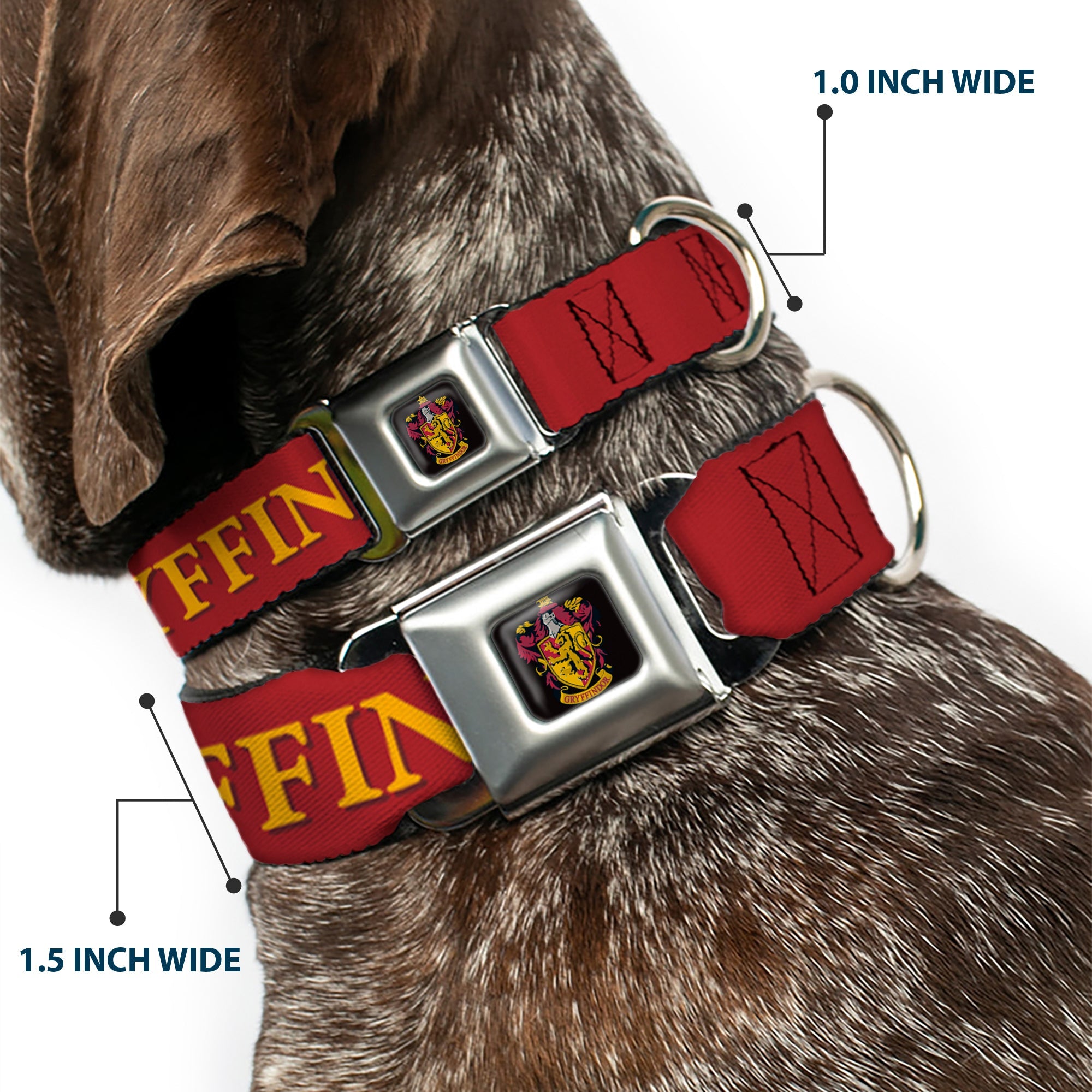 Gryffindor Crest Full Color Seatbelt Buckle Collar - Harry Potter GRYFFINDOR & Crest Black/Red
