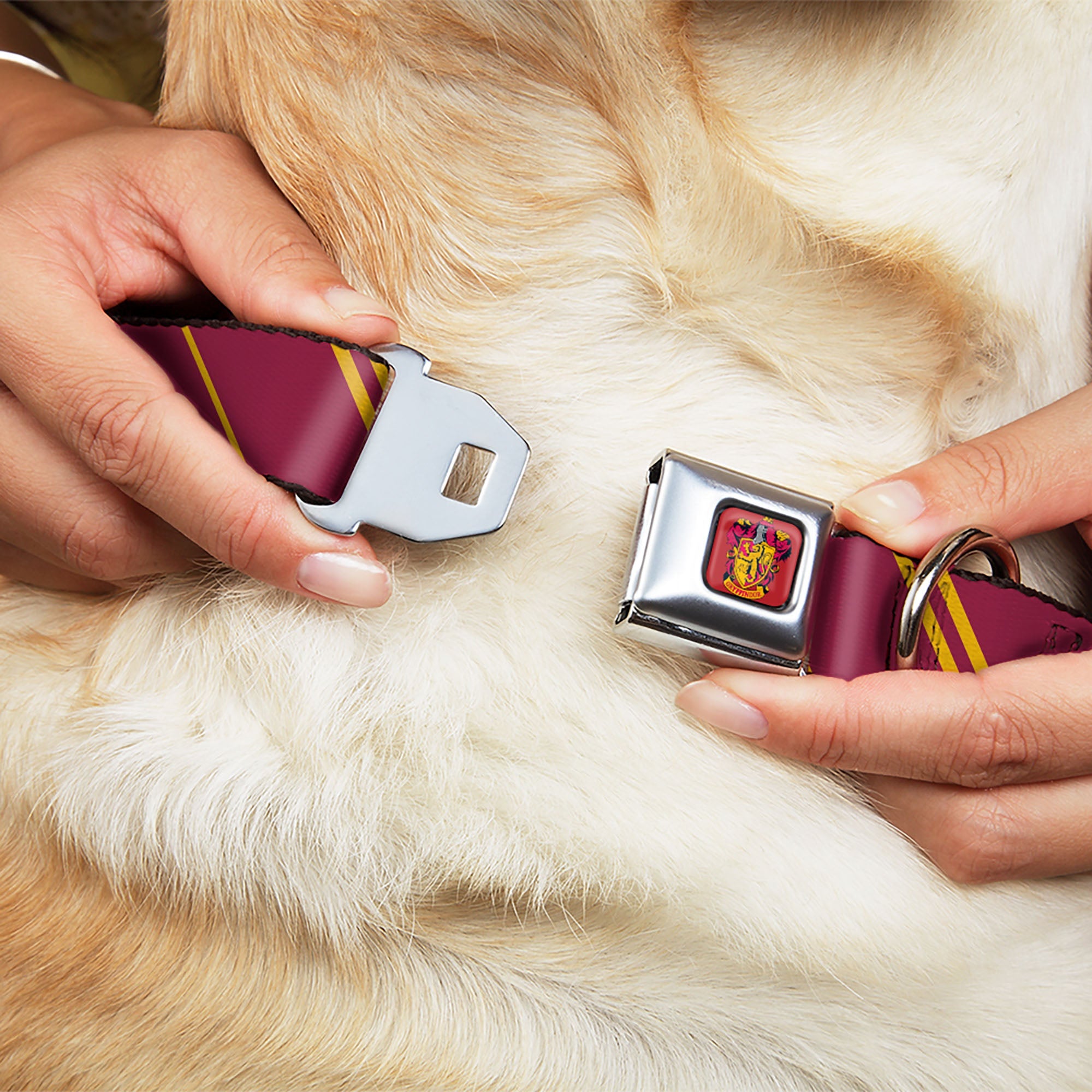 Buckle-Down Gryffindor Crest Full Color Seatbelt Buckle Dog Collar - Gryffindor Crest/Stripe Burgundy/Gold