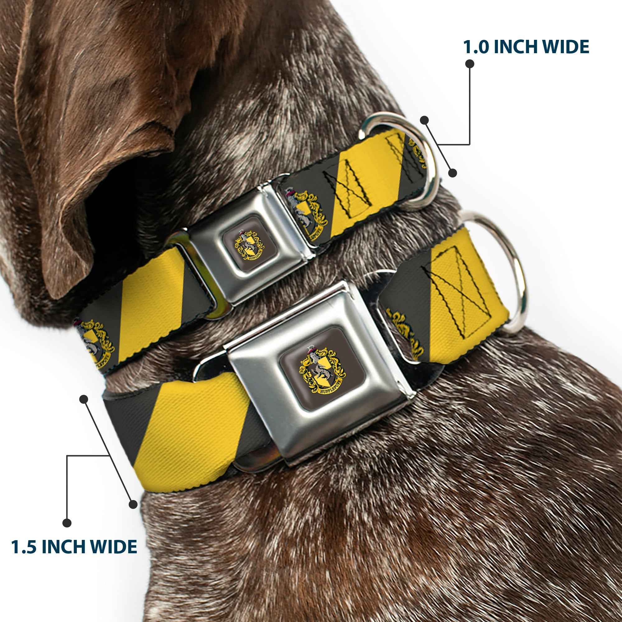 Buckle-Down Hufflepuff Crest Full Color Charcoal Gray Seatbelt Buckle Dog Collar - Hufflepuff Crest Diagonal Stripe Charcoal Gray/Yellow