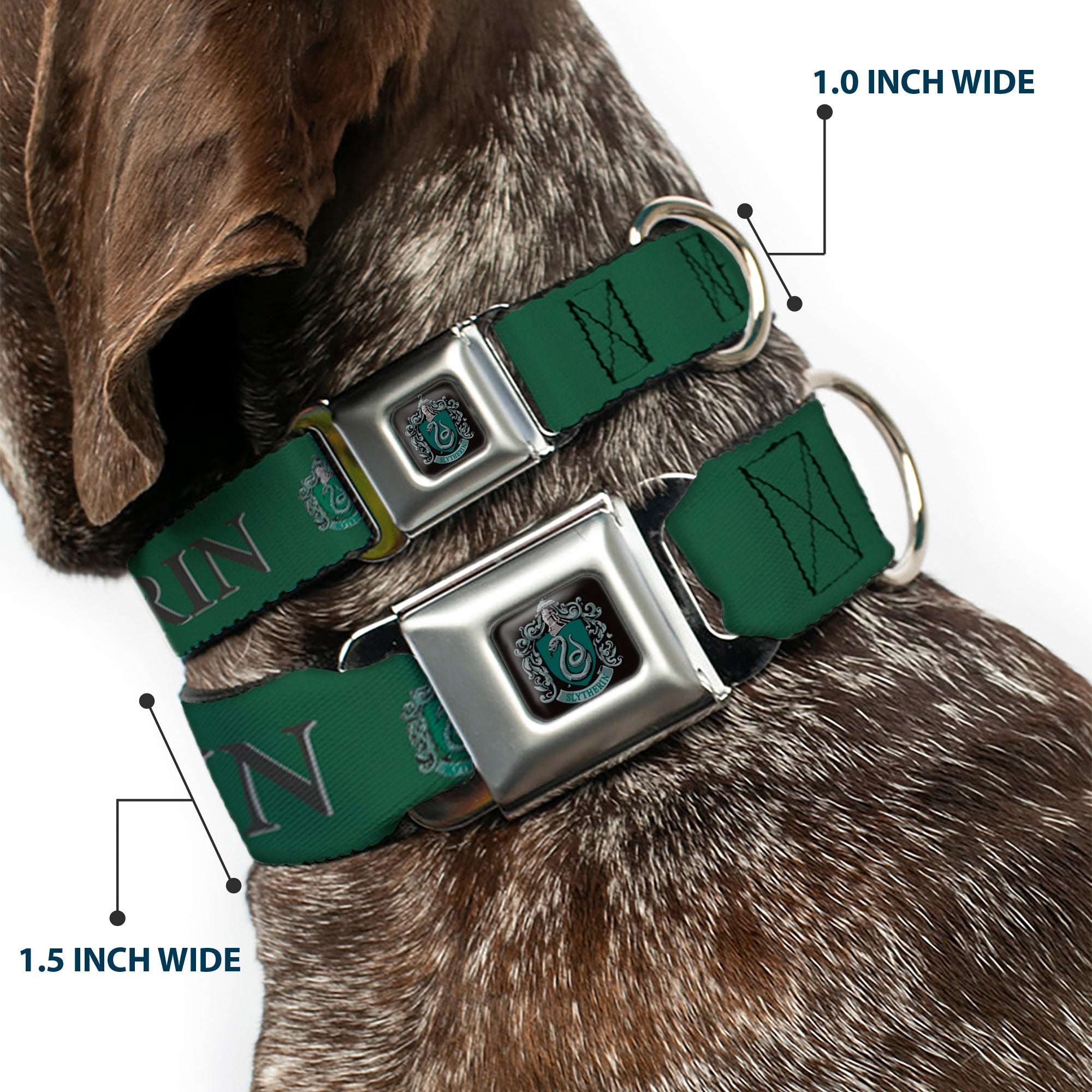Slytherin Crest Full Color Seatbelt Buckle Collar - Harry Potter SLYTHERIN & Crest Green/Black