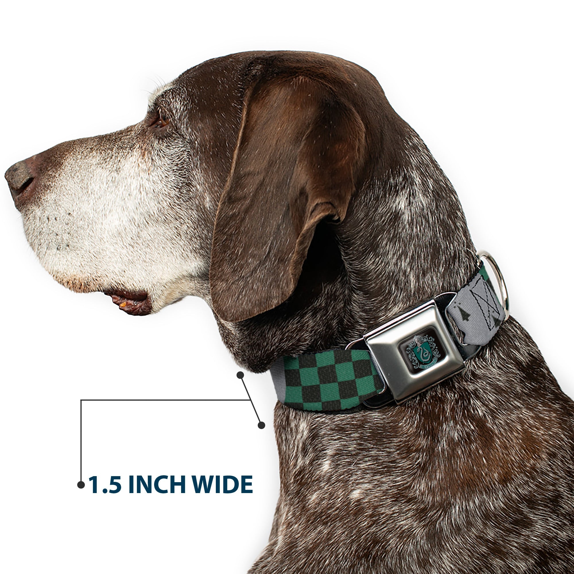 Slytherin Crest Full Color Seatbelt Buckle Collar - Harry Potter SLYTHERIN/Checker Blocks Grays/Greens