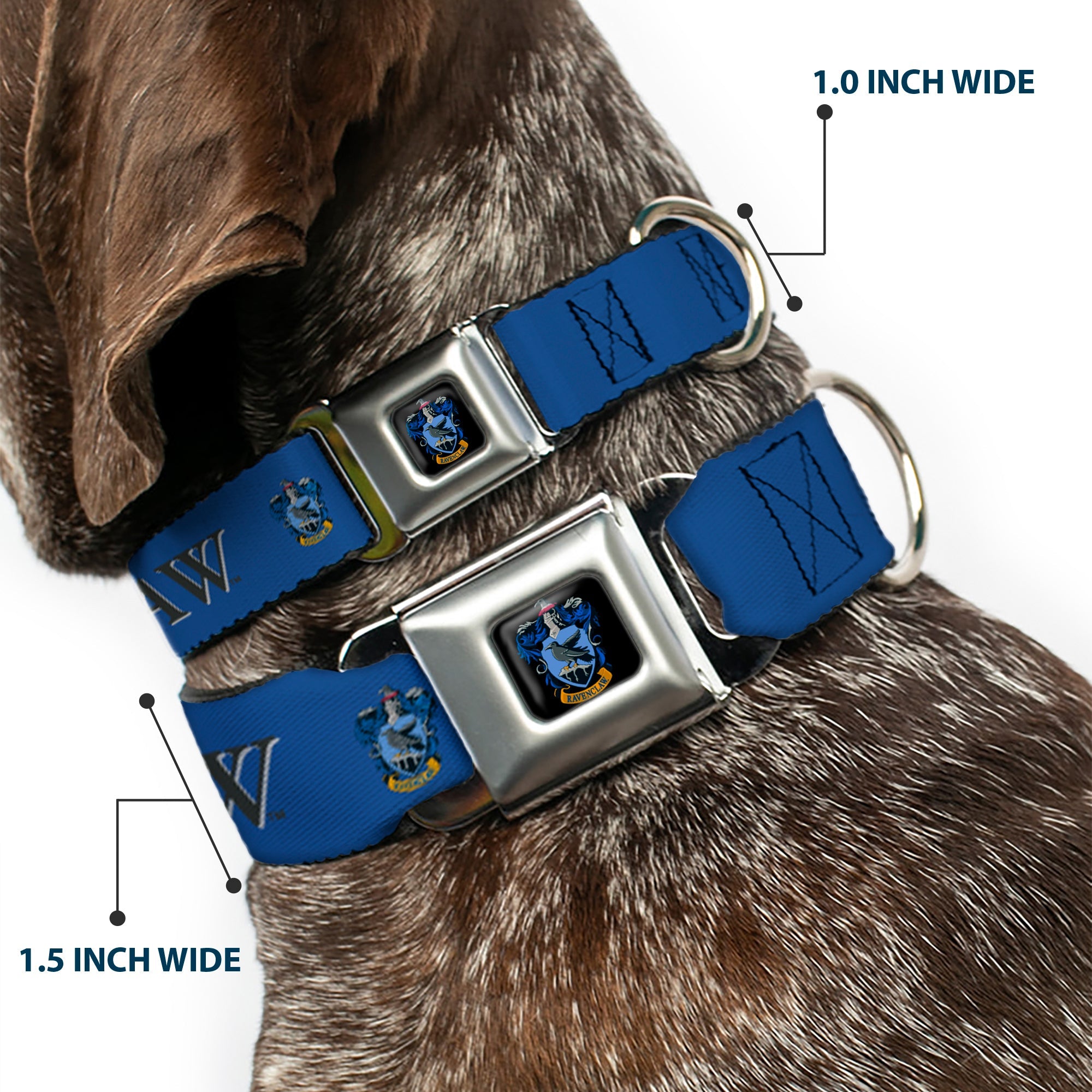 Ravenclaw Crest Full Color Seatbelt Buckle Collar - Harry Potter RAVENCLAW & Crest Blue/Black