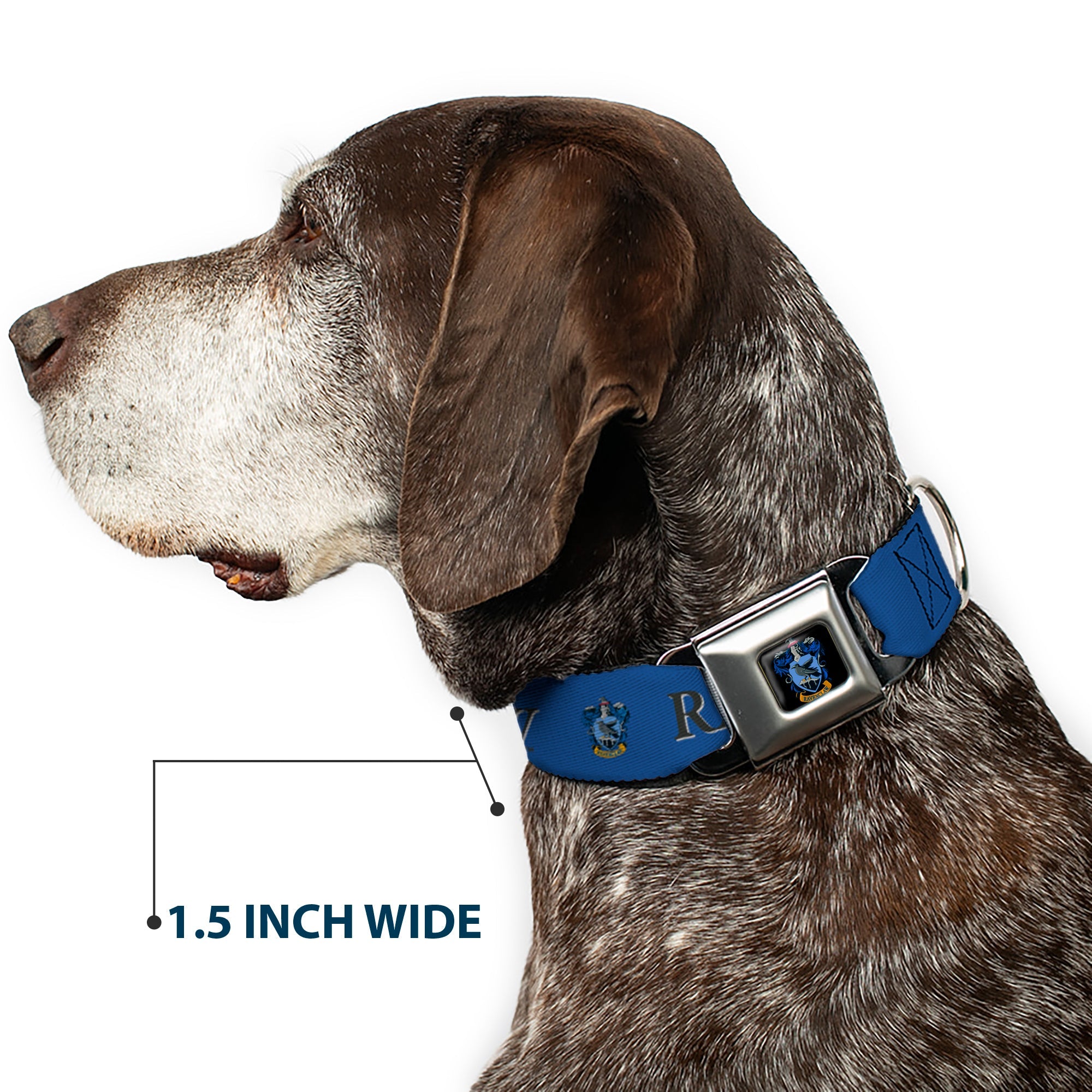 Ravenclaw Crest Full Color Seatbelt Buckle Collar - Harry Potter RAVENCLAW & Crest Blue/Black