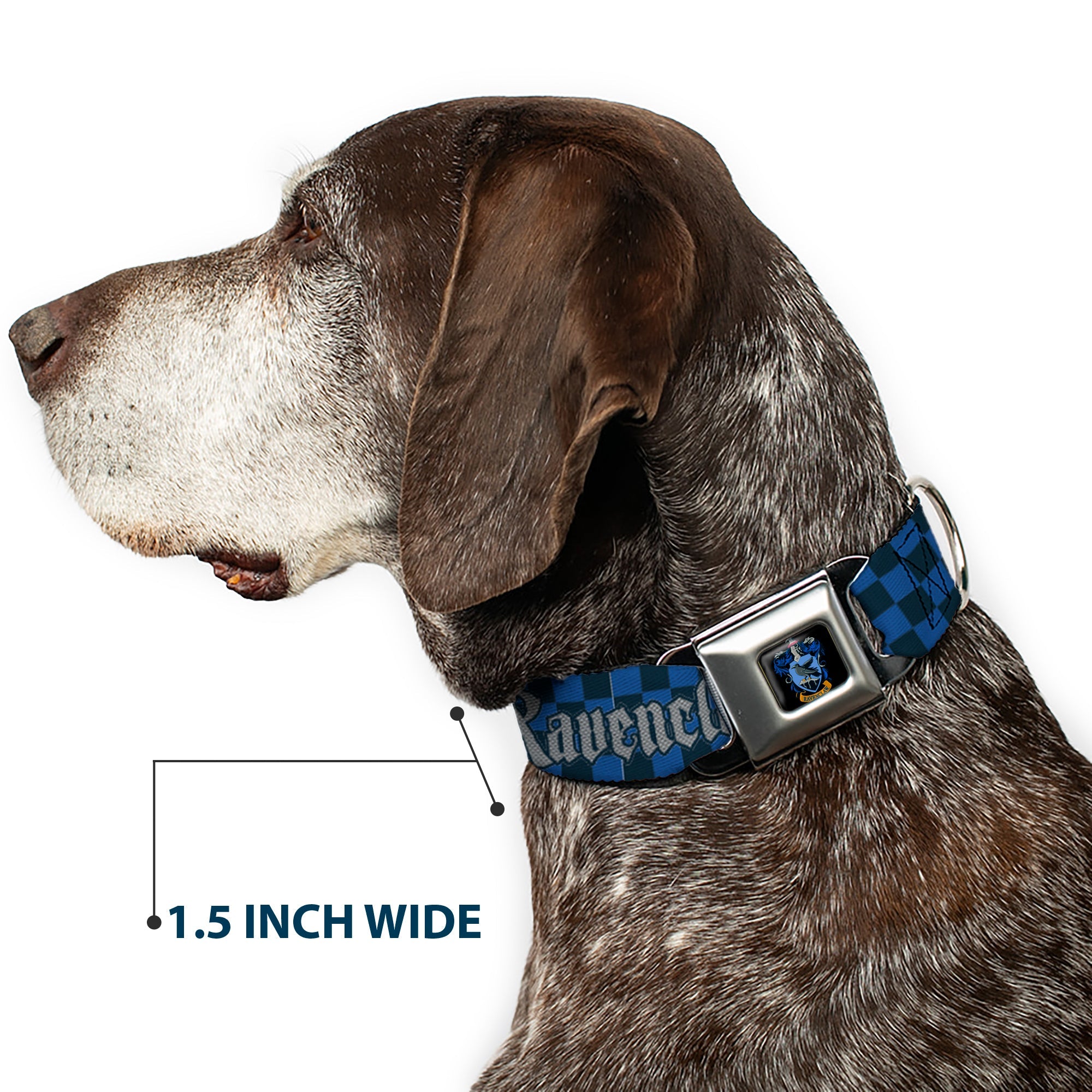 Ravenclaw Crest Full Color Seatbelt Buckle Collar - Harry Potter RAVENCLAW Checker Blues/Grays