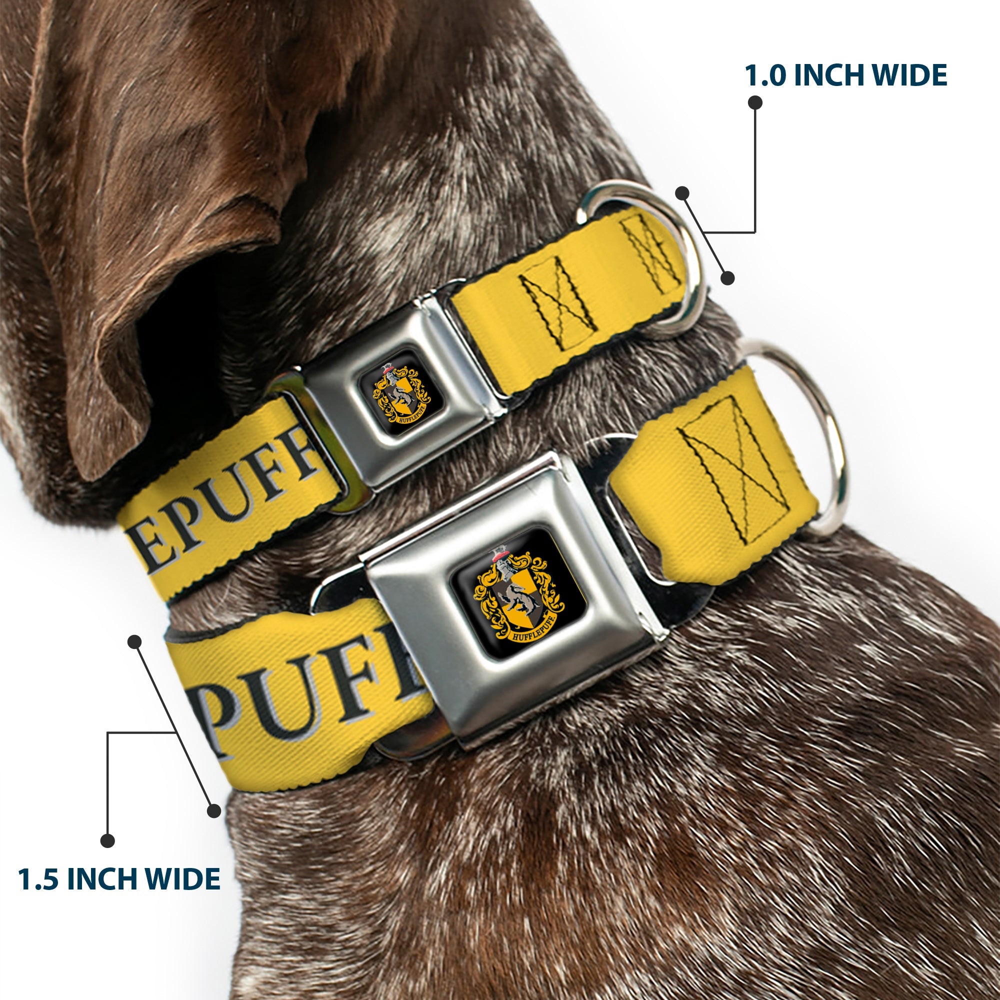 Hufflepuff Crest Full Color Seatbelt Buckle Collar - Harry Potter HUFFLEPUFF & Crest Yellow/Black