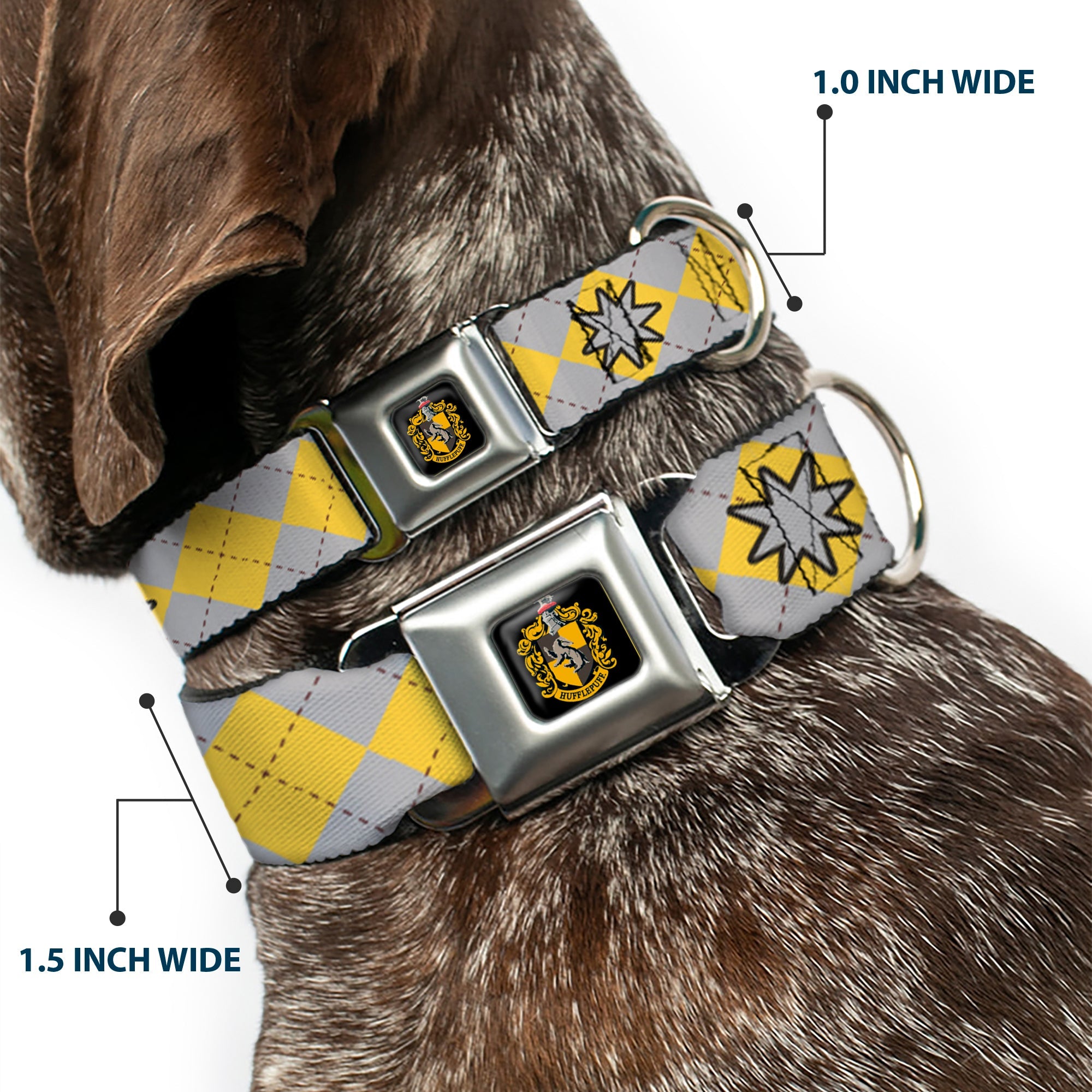 Hufflepuff Crest Full Color Seatbelt Buckle Collar - Harry Potter HUFFLEPUFF/Stars Argyle Plaid Gray/Gold/Browns