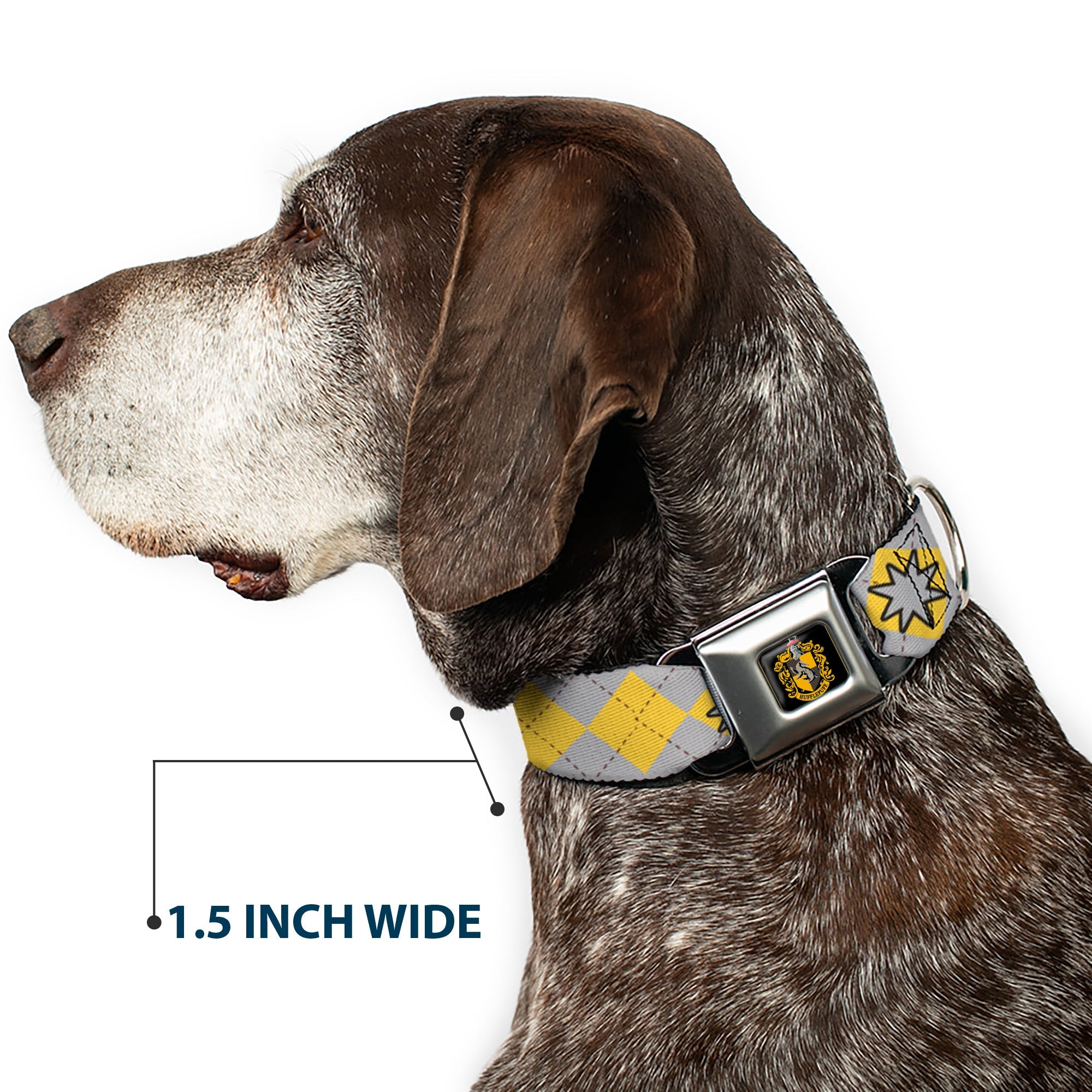 Hufflepuff Crest Full Color Seatbelt Buckle Collar - Harry Potter HUFFLEPUFF/Stars Argyle Plaid Gray/Gold/Browns