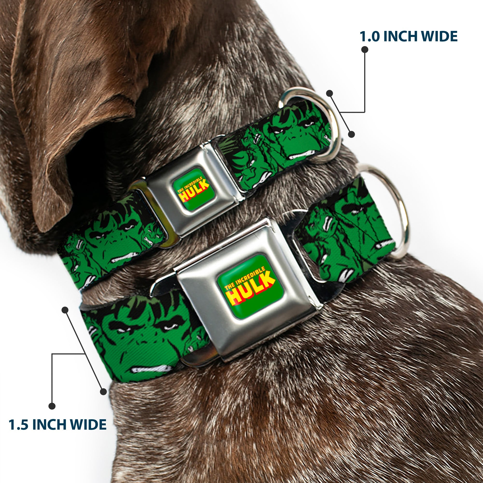 THE HULK Seatbelt Buckle Collar - The Hulk Stacked