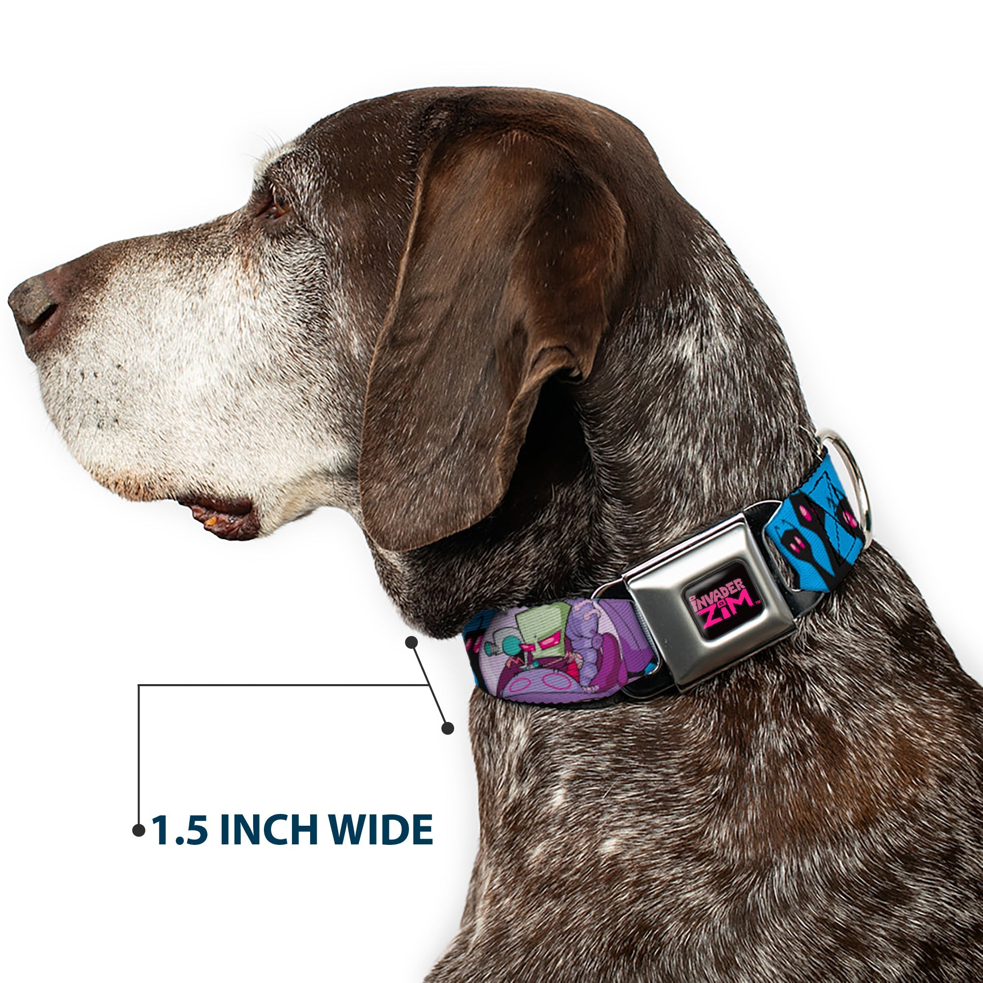INVADER ZIM Title Logo Full Color Pink/Green Seatbelt Buckle Collar - Invader Zim GIR and Piggy Rule the World Poses Blue
