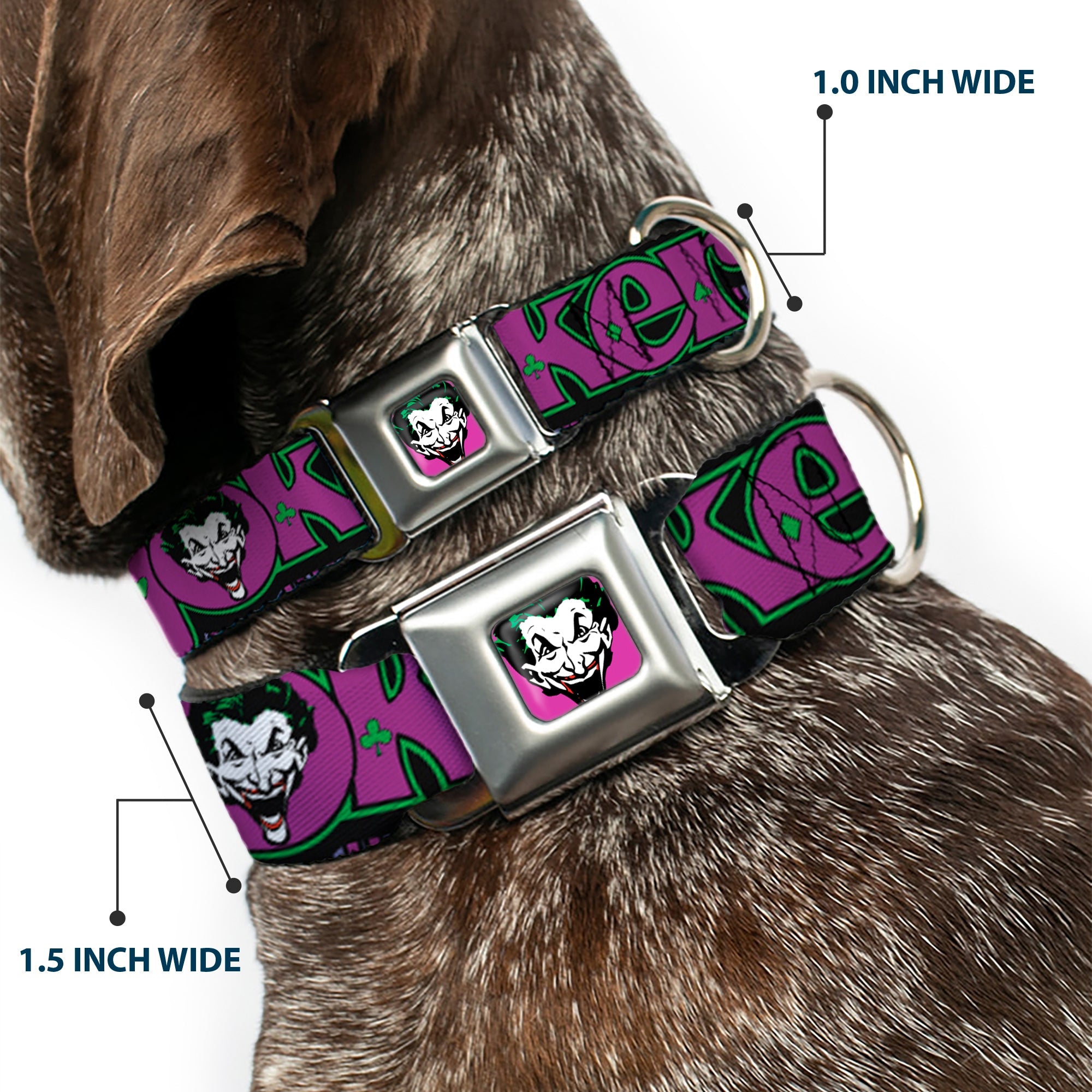 Dog Collar JKA-Joker Face - Joker Face/Logo/Spades Black/Green/Purple