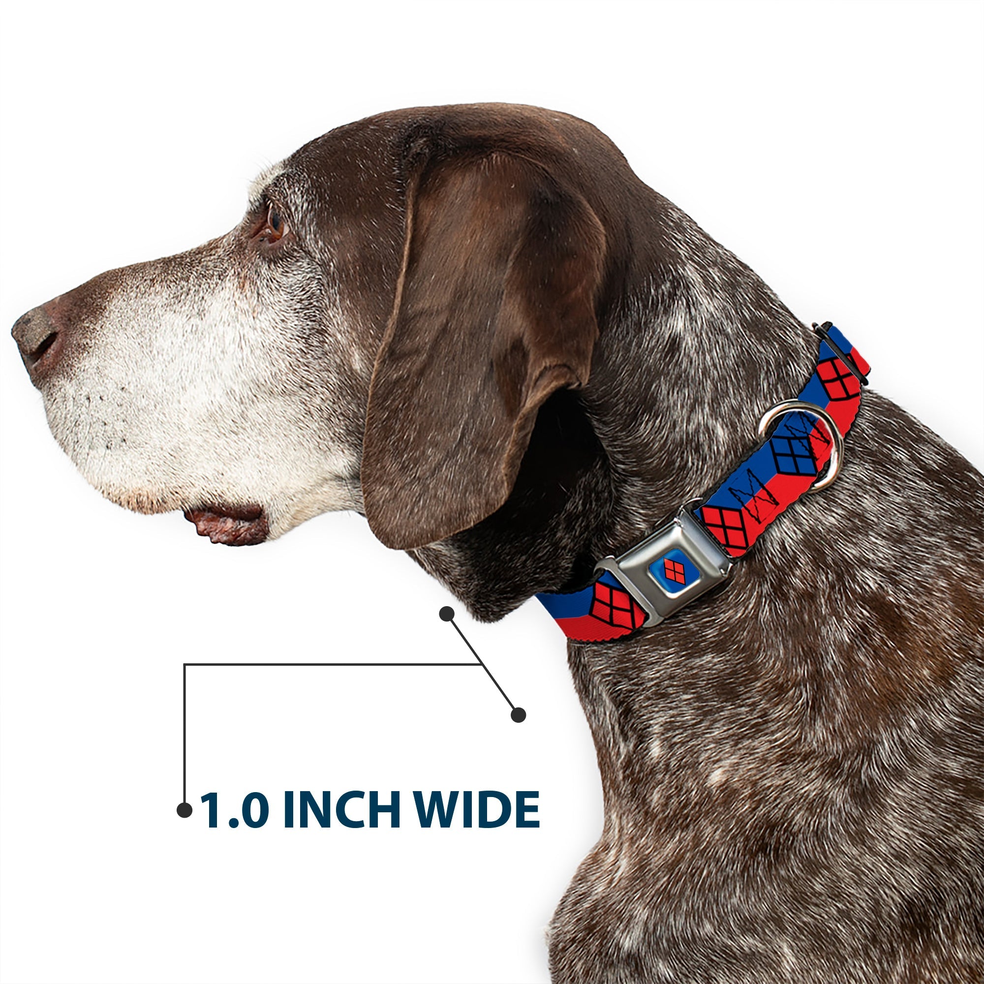 Harley Quinn Diamond Full Color Blue/Black/Red Seatbelt Buckle Collar - Harley Quinn Diamond/Stripe Red/Blue
