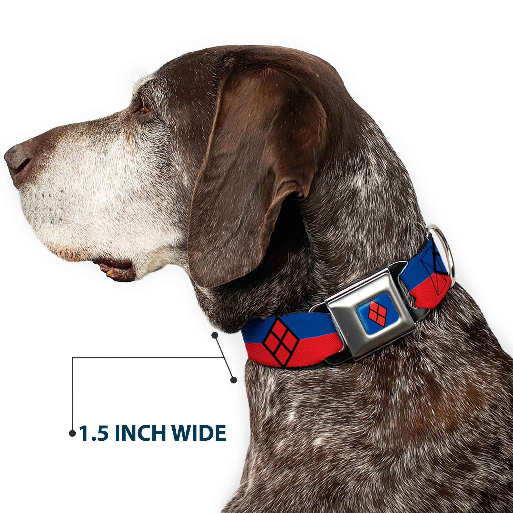 Harley Quinn Diamond Full Color Blue/Black/Red Seatbelt Buckle Collar - Harley Quinn Diamond/Stripe Red/Blue